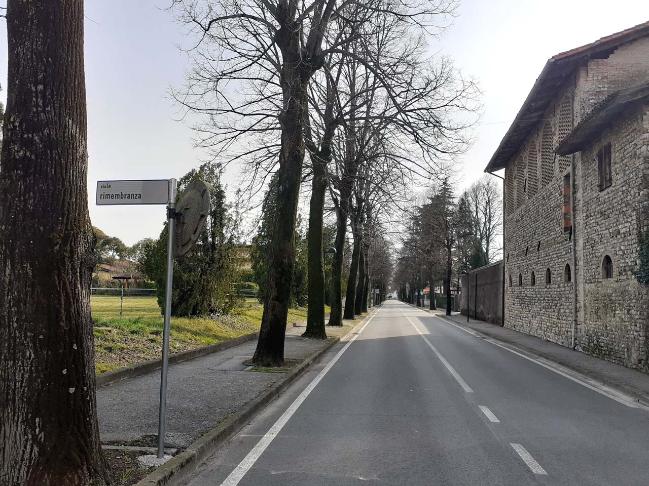 viale, commemorativo/ ai caduti della prima guerra mondiale, Viale della Rimembranza di San Martino al Tagliamento - periodo Fascista (XX)