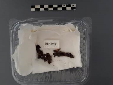 SINGOLO OGGETTO/ sperone, SECOLI/ IV a.C