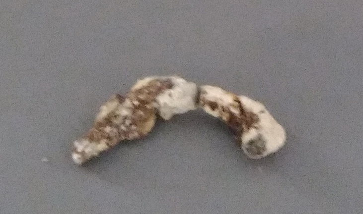 SINGOLO OGGETTO, SECOLI/ VI a.C