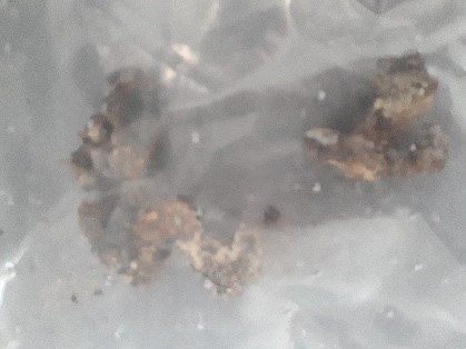 SINGOLO OGGETTO, SECOLI/ IV a.C