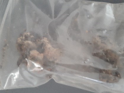 SINGOLO OGGETTO, SECOLI/ IV a.C