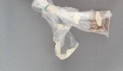 SINGOLO OGGETTO, SECOLI/ IV a.C