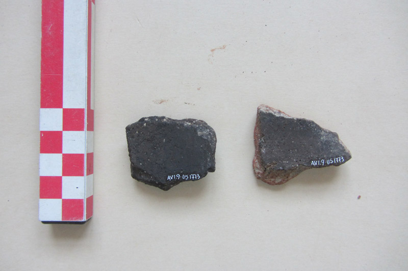 SINGOLO OGGETTO/ contenitore, non determinabile