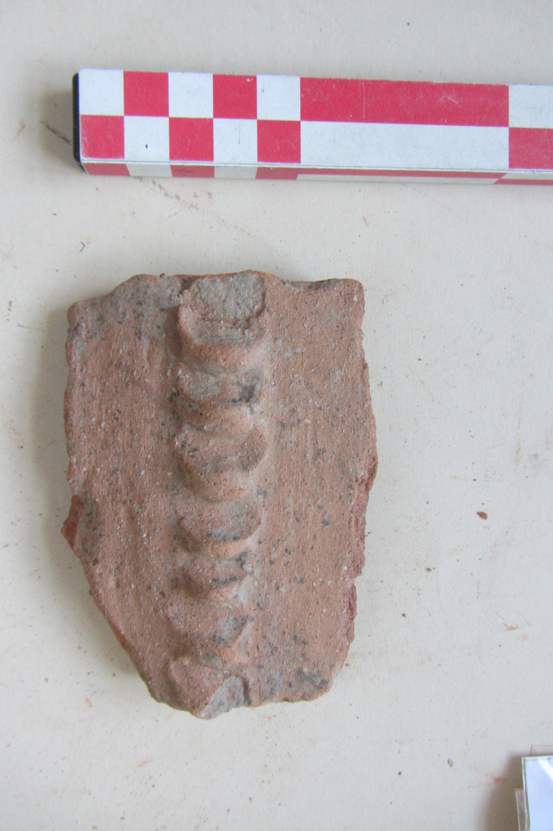 SINGOLO OGGETTO/ contenitore, PERIODIZZAZIONI/ Storia/ Eta' antica/ Eta' romana