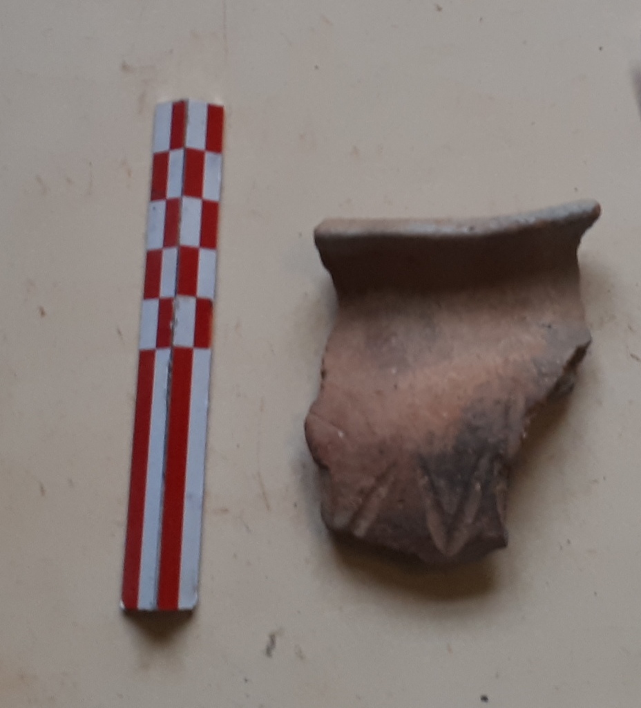 SINGOLO OGGETTO/ olla, SECOLI/ II a.C