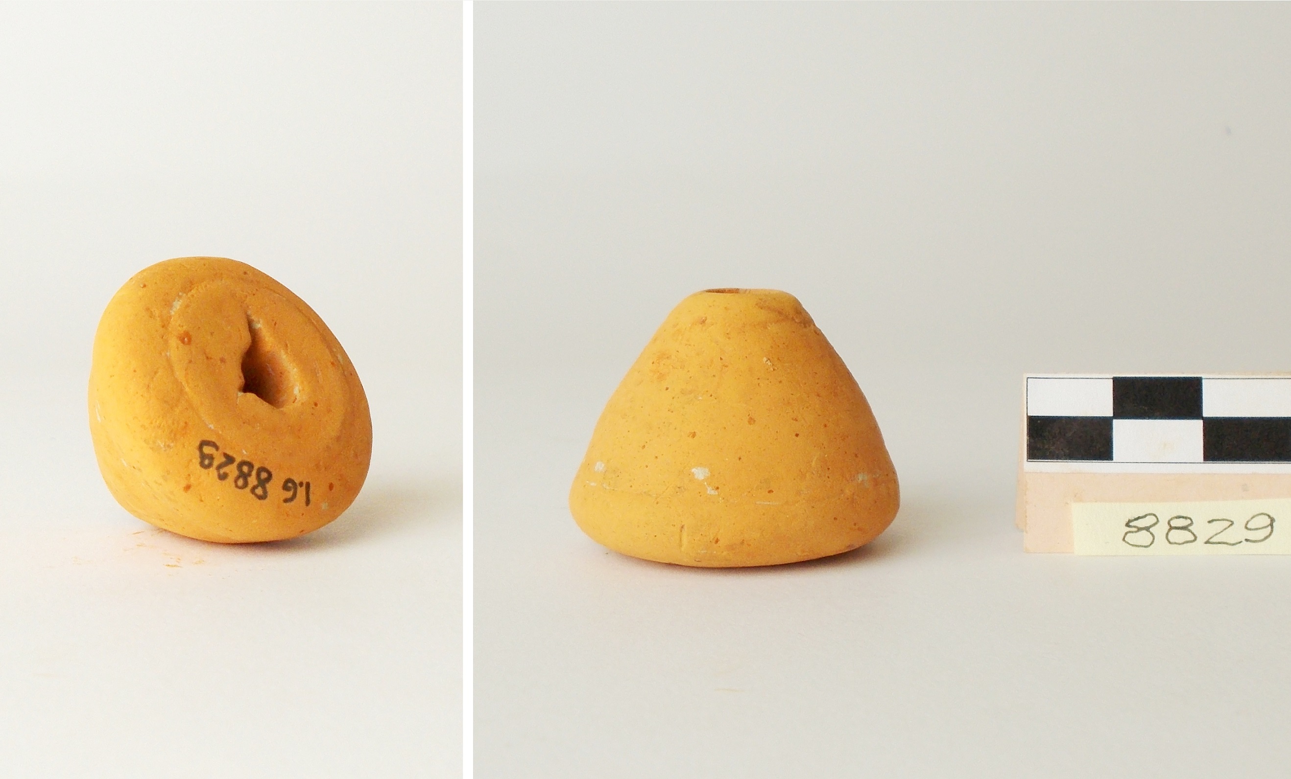 fuseruola - produzione adriese ? (prima metà sec. III a.C)