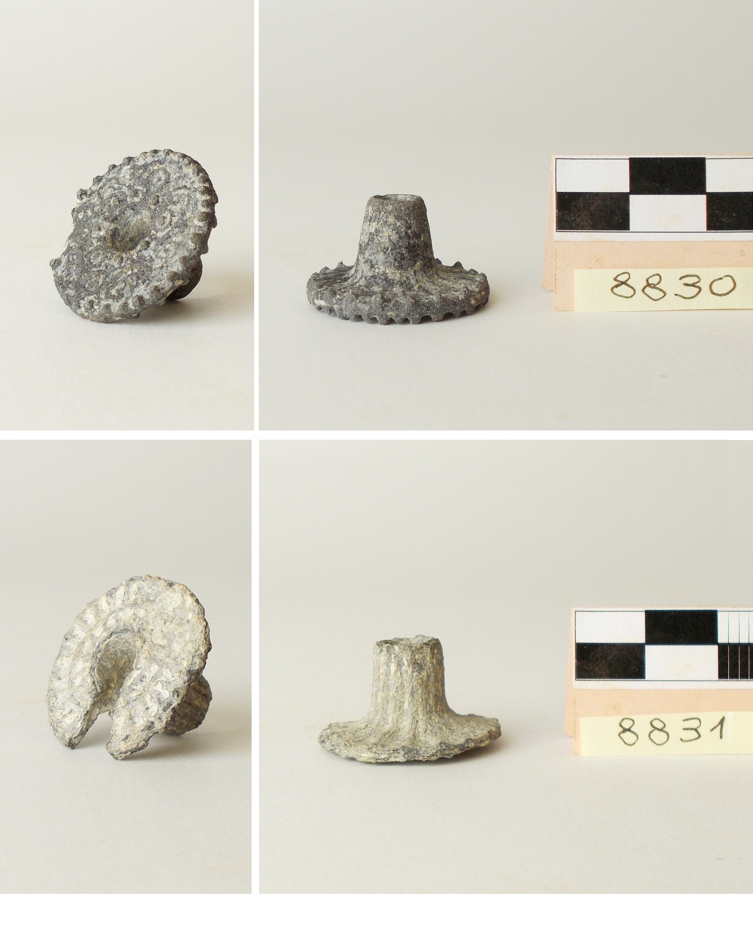 Fuseruole 2 (prima metà sec. III a.C)