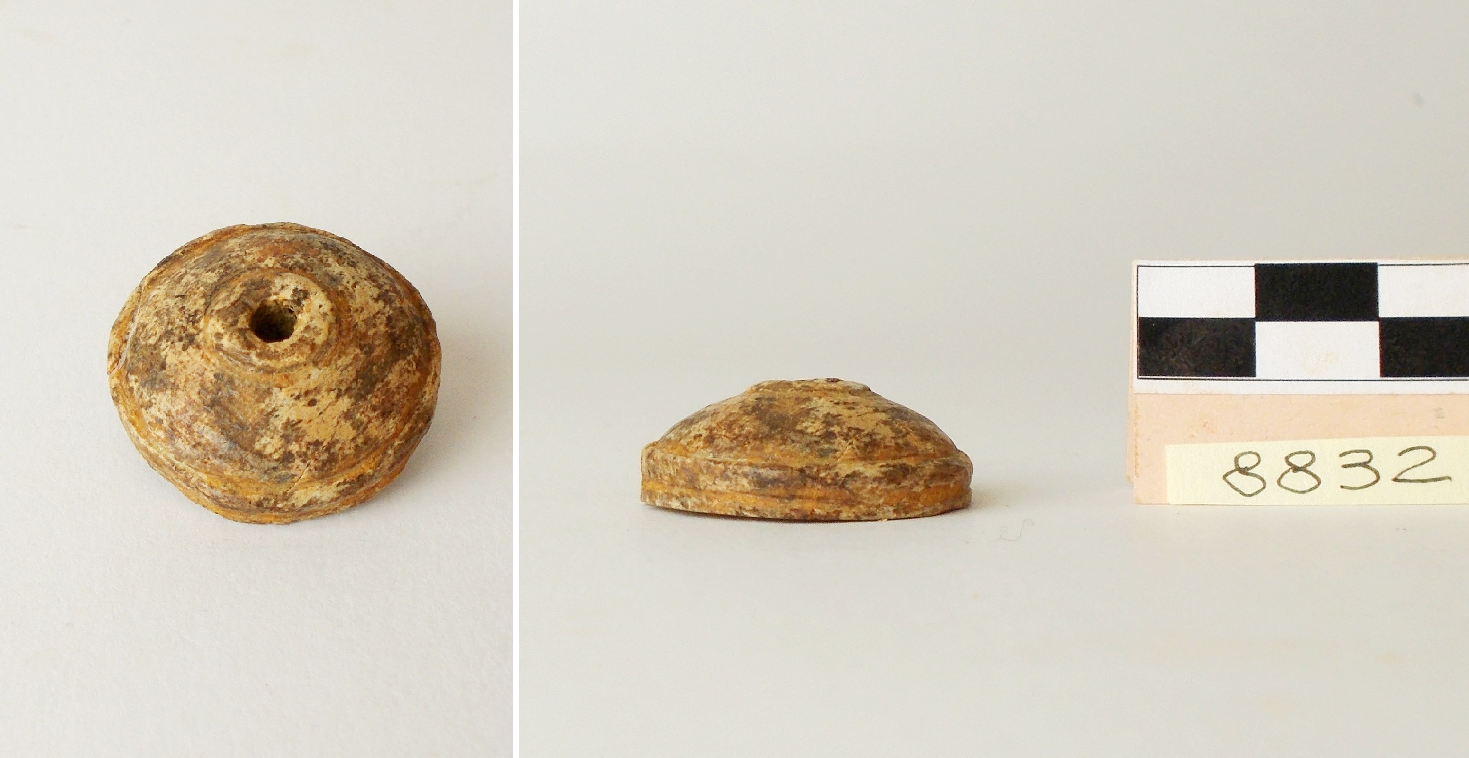 fuseruola (prima metà ? sec. III a.C)