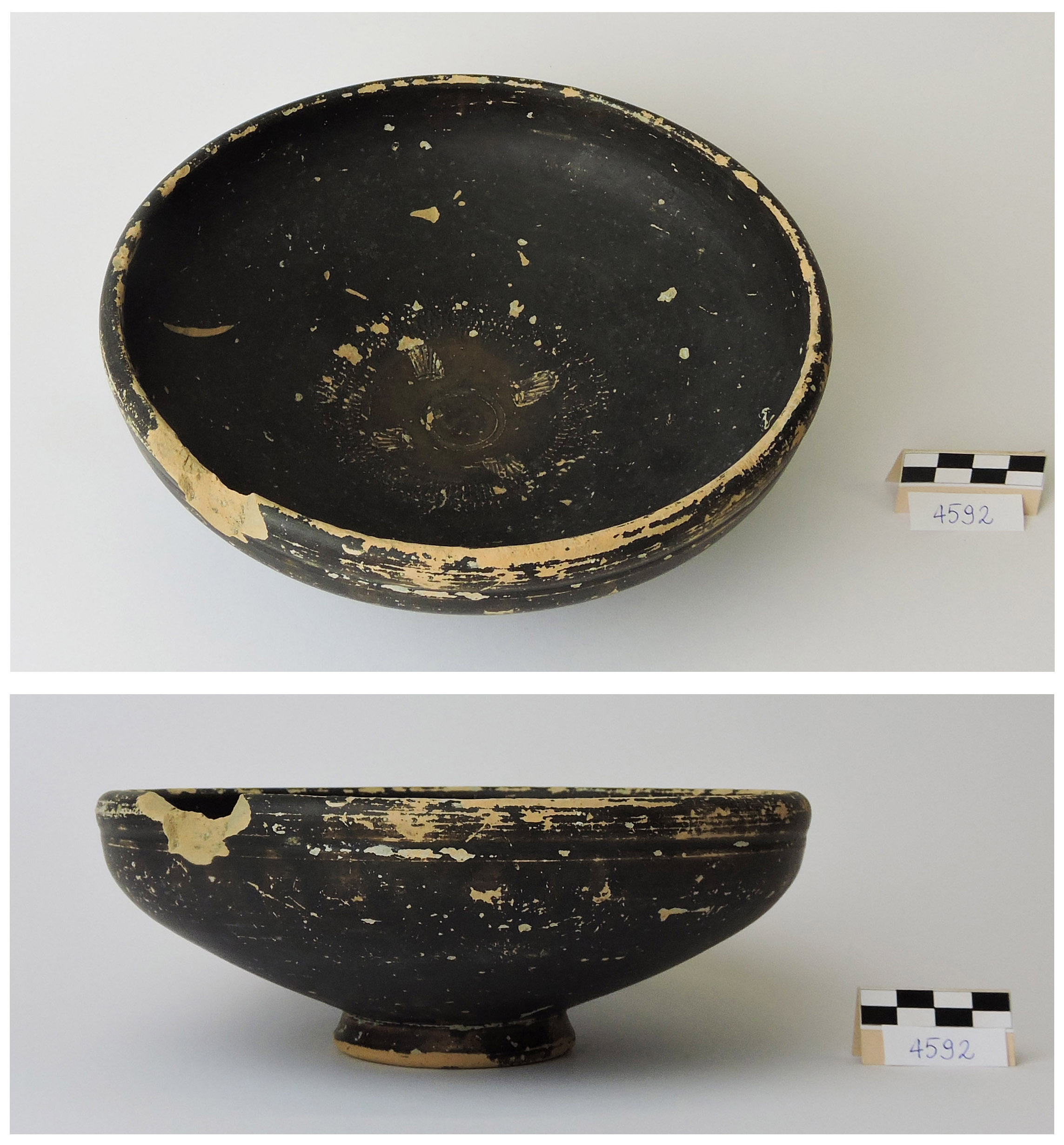 ciotola, Morel 2538f1 - produzione locale adriese (meta'/fine secc. III/ II a.C)