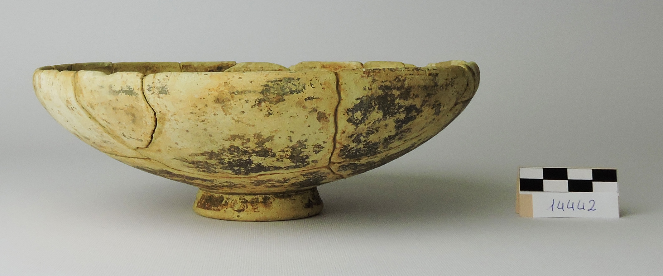 ciotola, Morel 2784 - produzione adriese (secc. III/ II a.C)