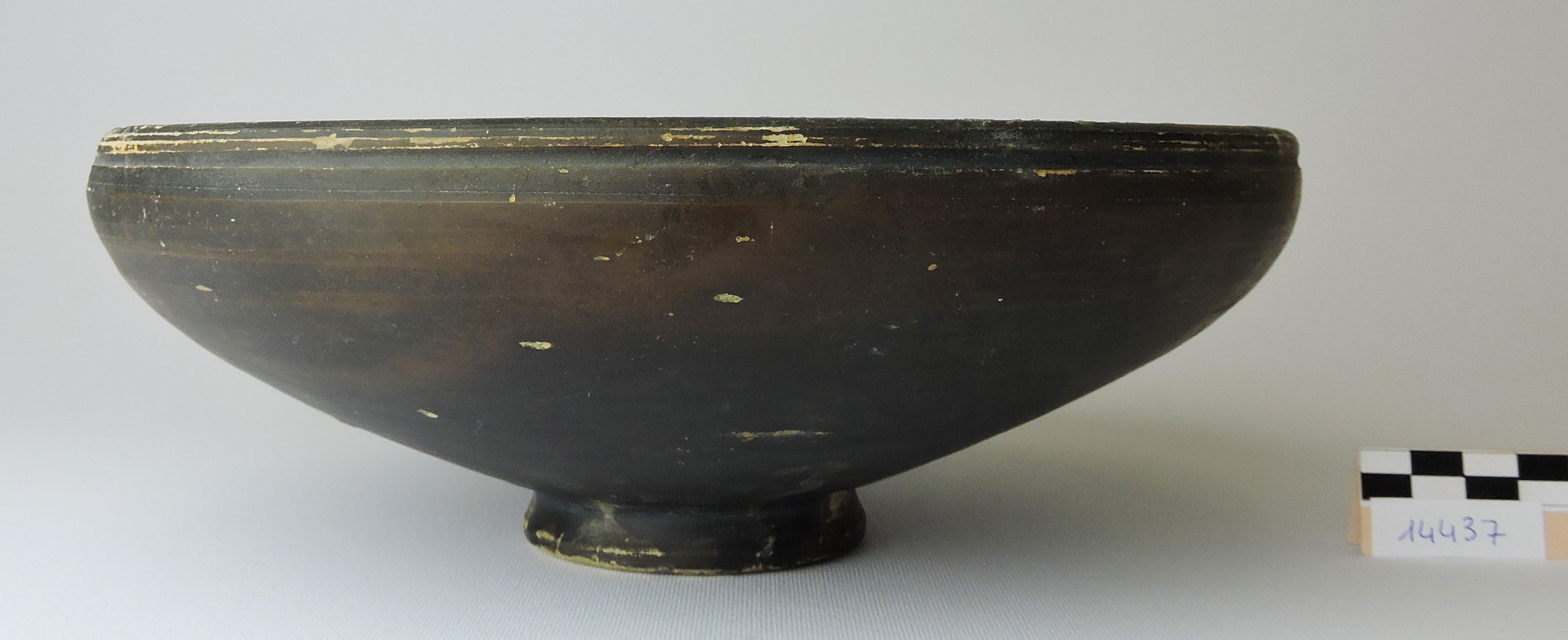 ciotolone, Morel serie 2560 - produzione adriese (secc. III/ II a.C)