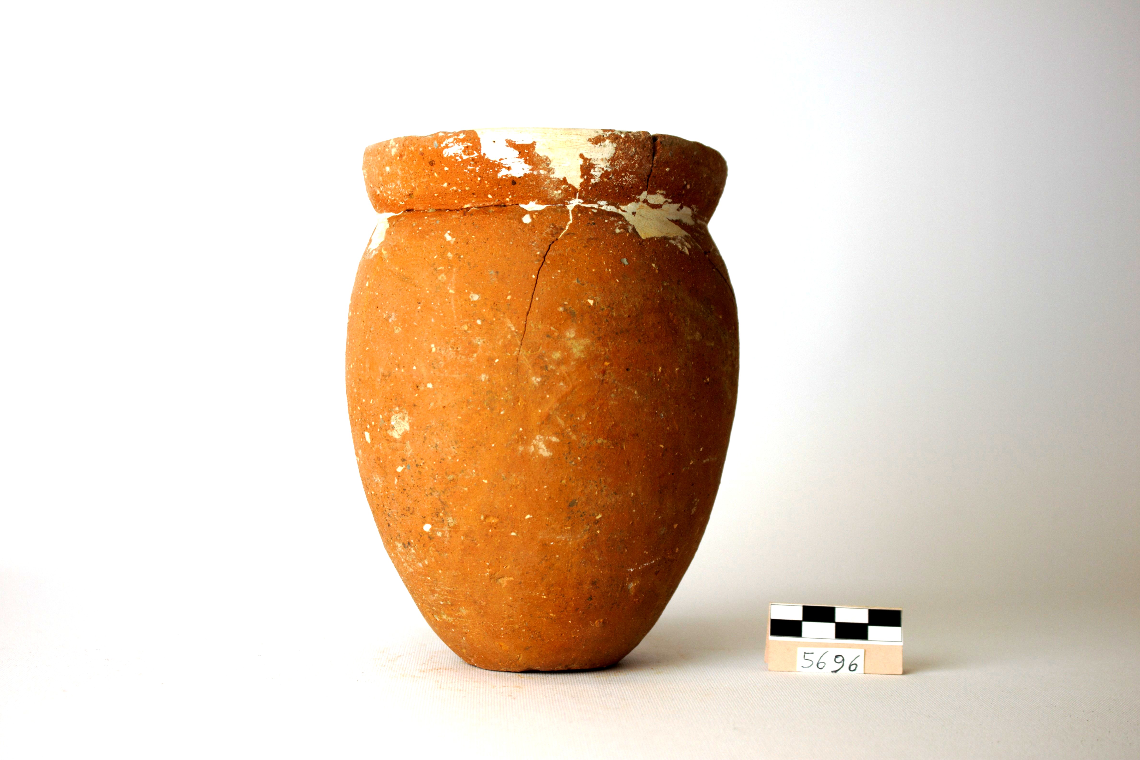 olletta, forma IV (Marabini Moevs 1973) - produzione locale (sec. II a.C)