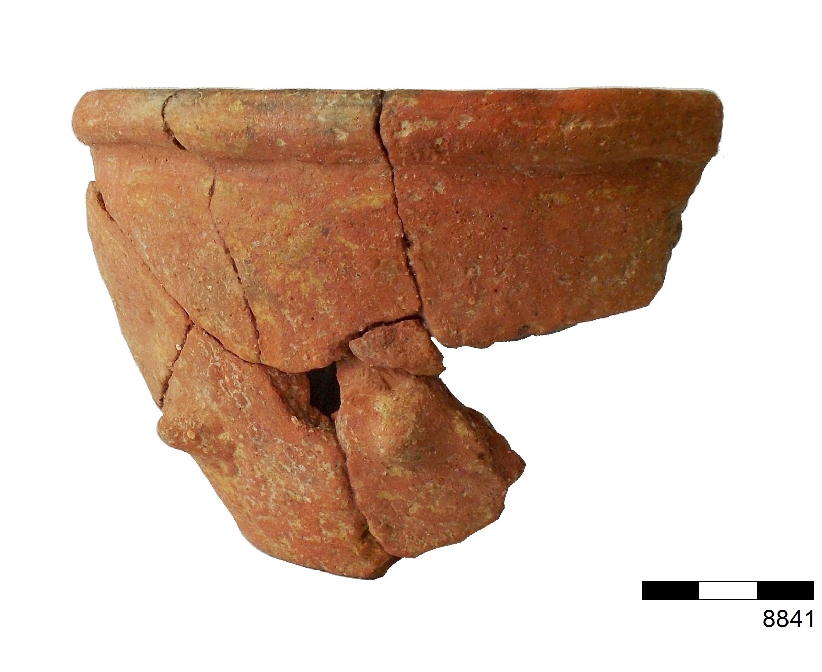 olletta - produzione adriese (fine sec. VI a.C)