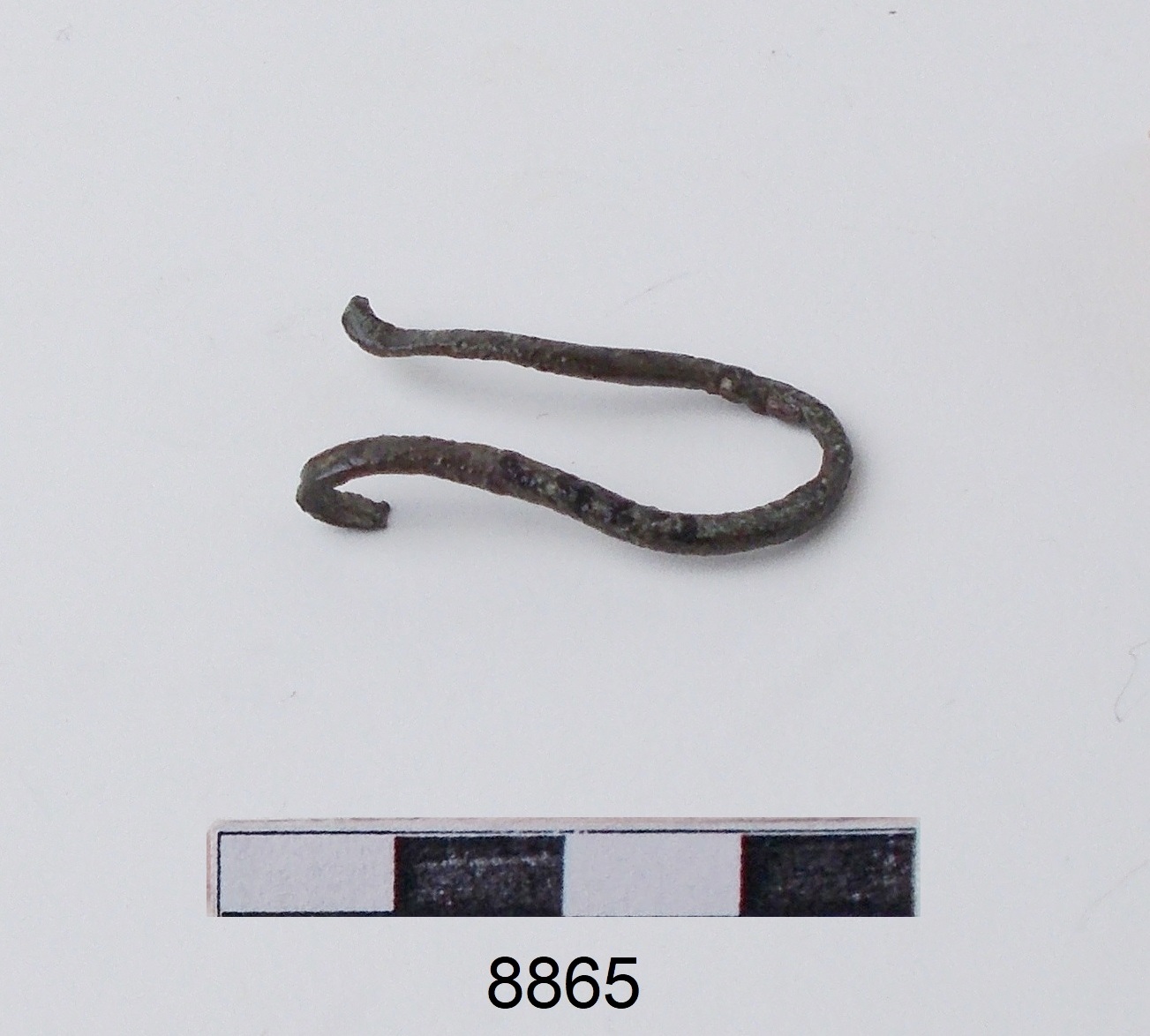 affibbiaglio - produzione etrusca ? (fine/inizio secc. VI/ V a.C)