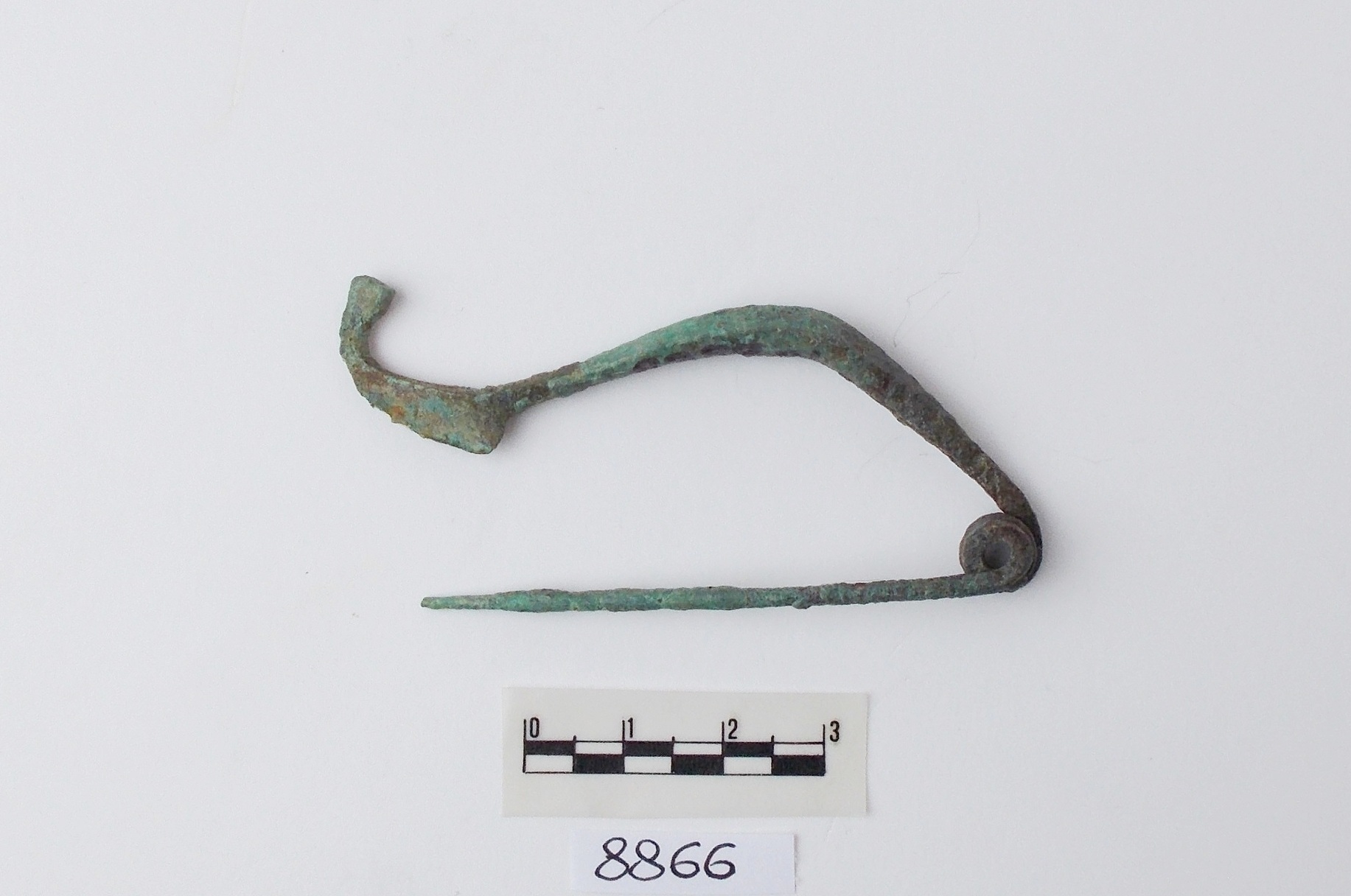 fibula Certosa - produzione etrusca (fine/inizio sec.VI/ V a.C)