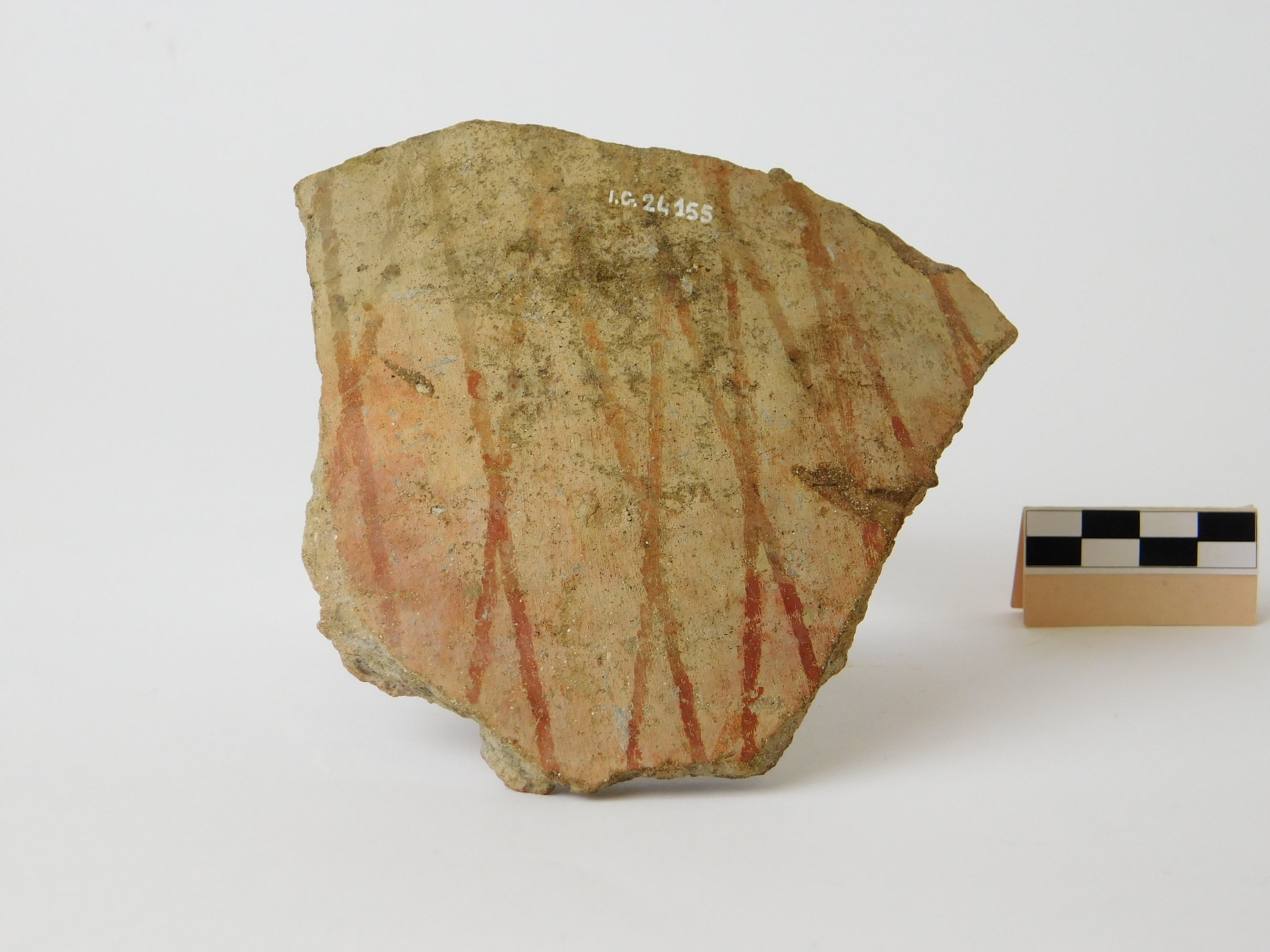 dolio/ parete, Parrini, dolii paleveneti, tipo 1 - produzione locale (secc. VI/ V a.C)