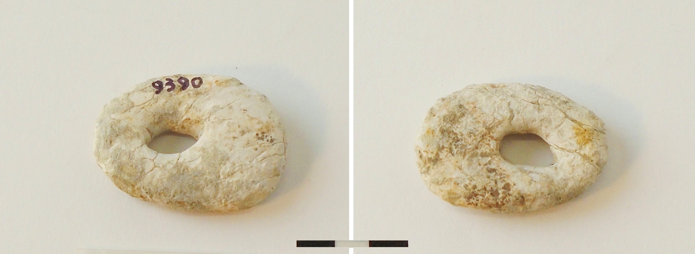 Vago - ambito locale (?) (primo quarto sec. V a.C)