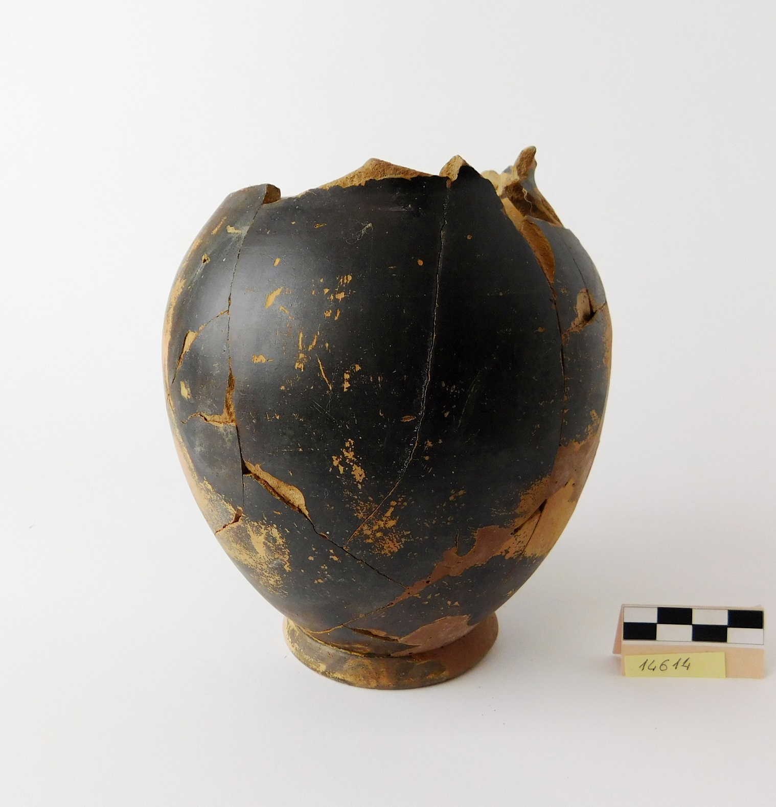 brocca, Pasquinucci, 134 /Morel, 7222a4 - produzione locale (fine sec. III a.C)