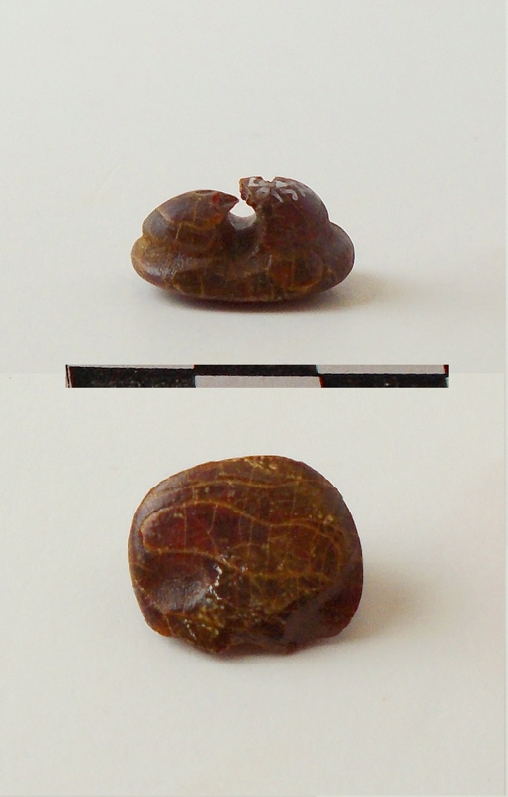 Bottone (fine/inizio secc. VI/ V a.C)