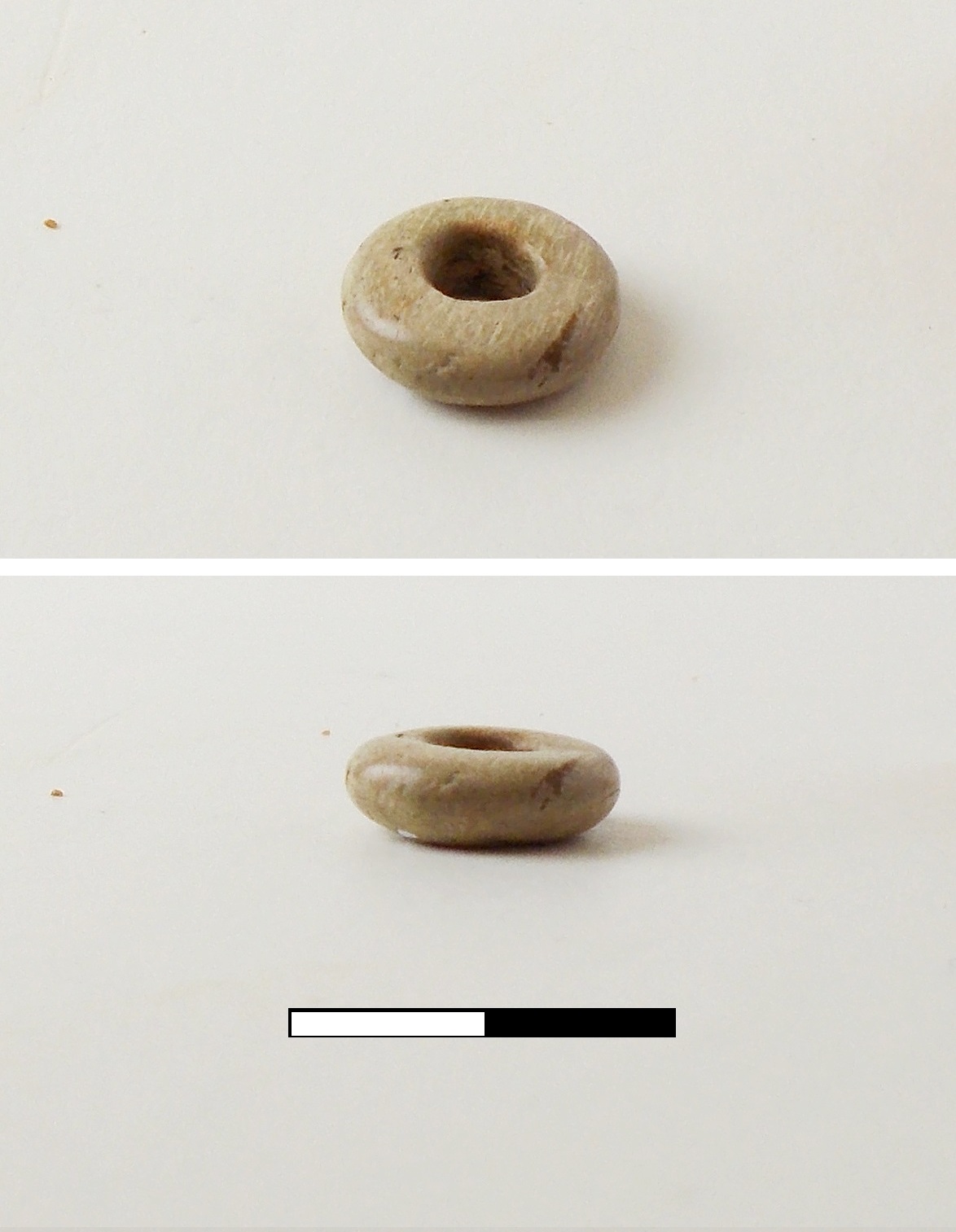 Vago - produzione locale (fine/inizio secc. VI/ V a.C)