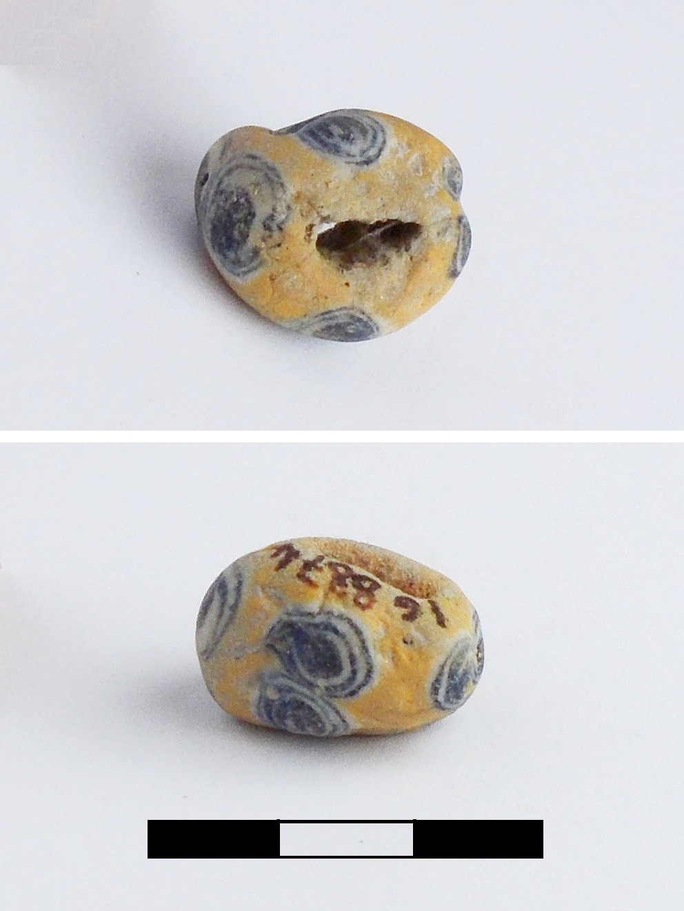 vago - produzione celtica ? (primo quarto sec. V a.C)