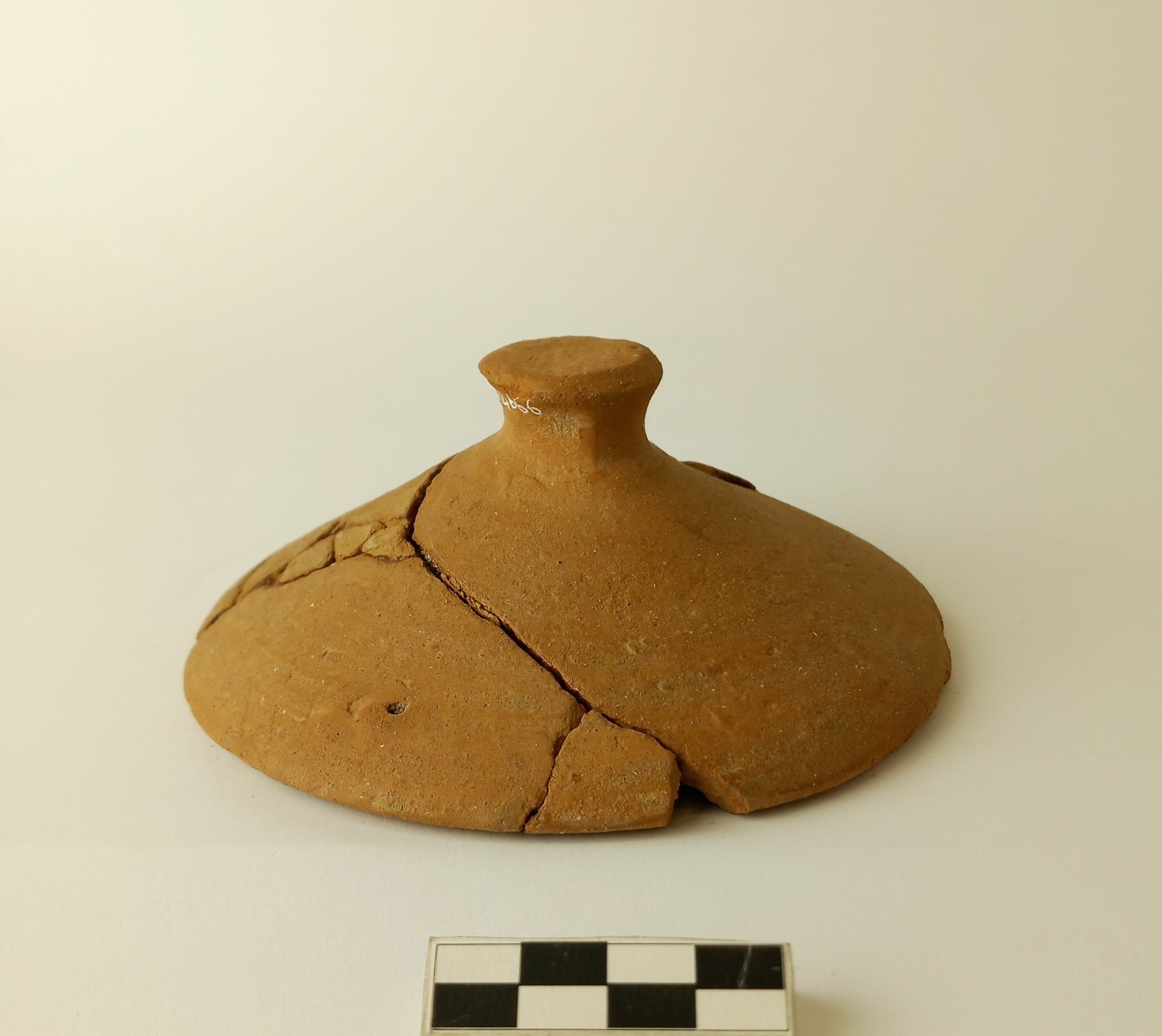 coperchio - produzione locale (fine sec. III a.C)