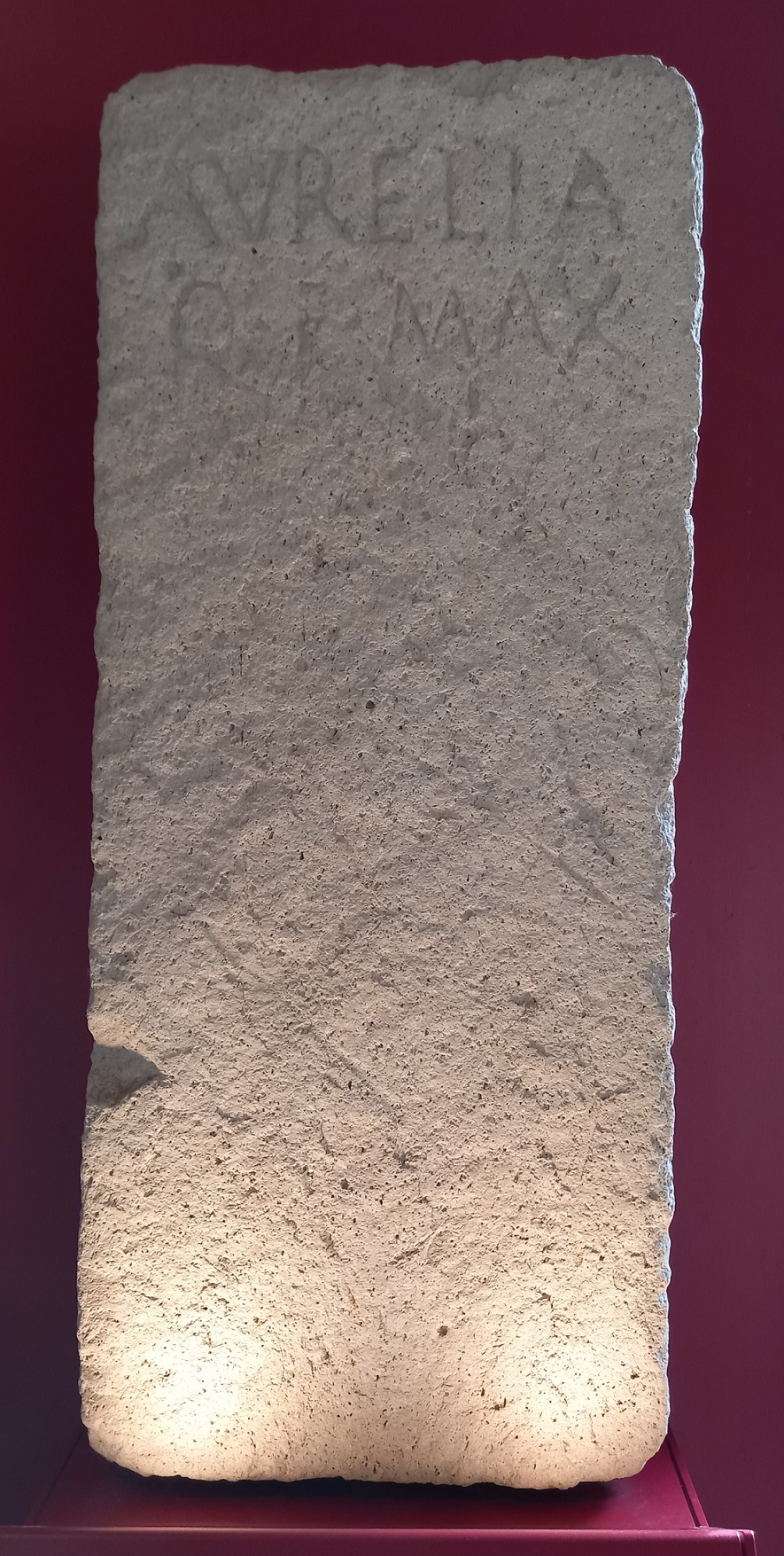 stele, (Iscrizione funeraria) Aurelia Q.f. Max - bottega lapidaria adriese (sec. I a.C)