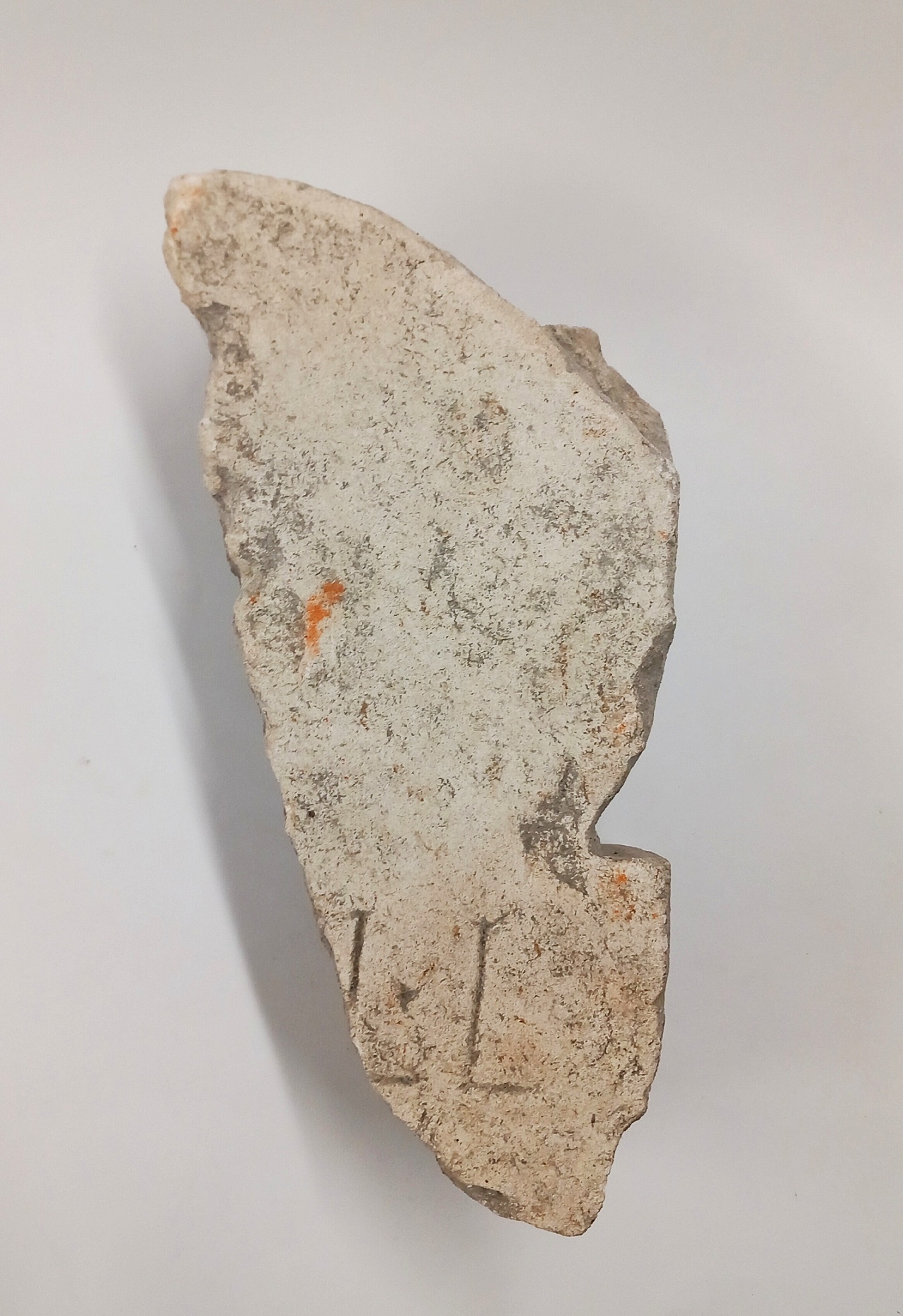 stele, funeraria a disco - bottega lapidaria adriese (fine sec. I a.C)