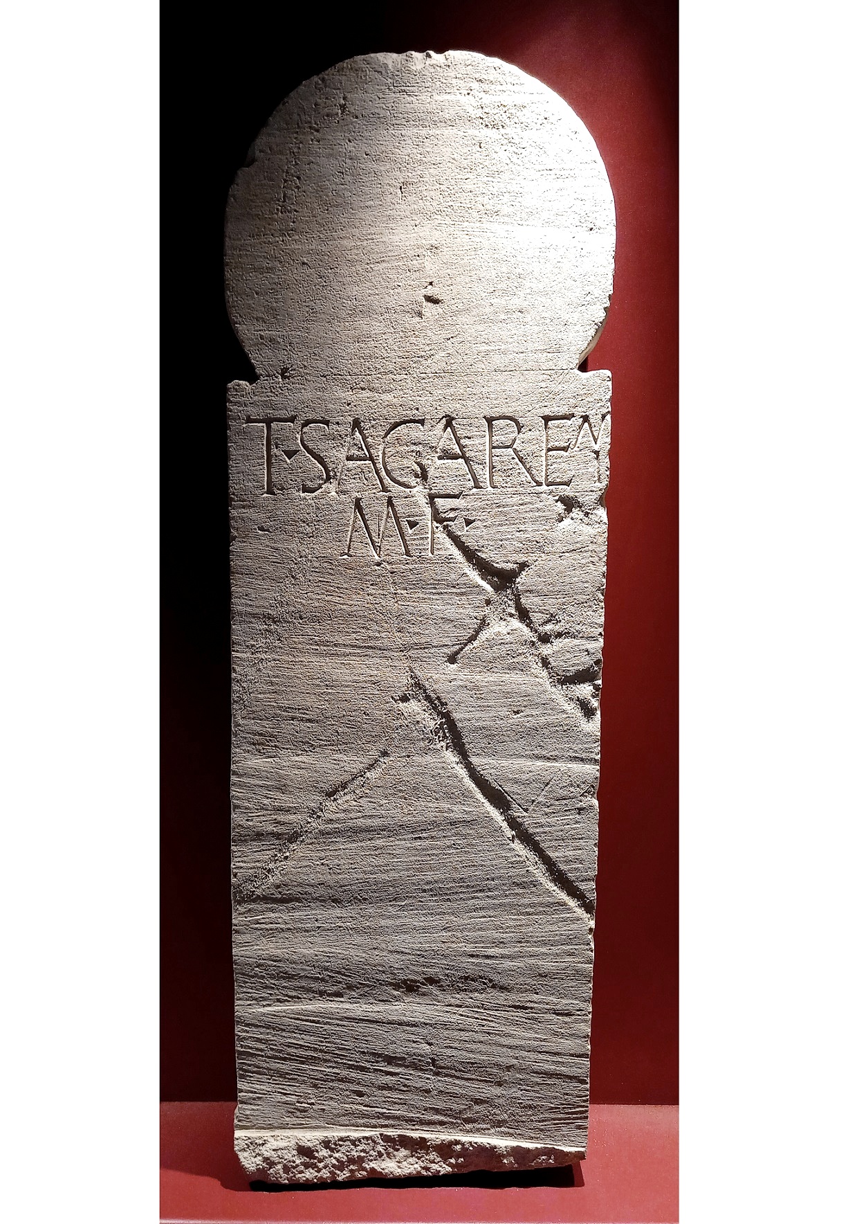 stele, funeraria a disco, (Iscrizione funeraria) T. Sagarenius M.f - bottega lapidaria adriese (inizio sec. I d.C)