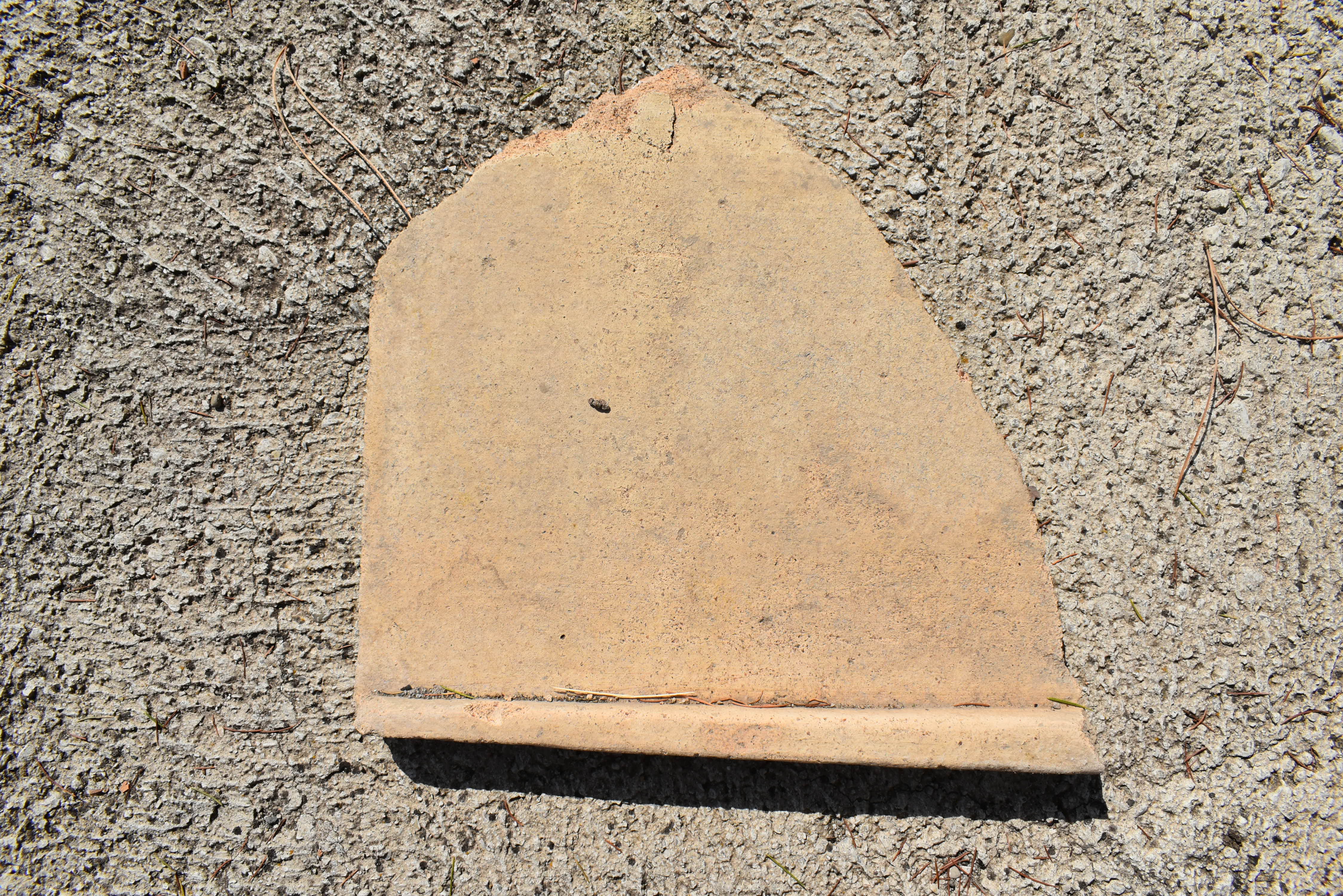 SINGOLO OGGETTO/ tegola, SECOLI/ V a.C