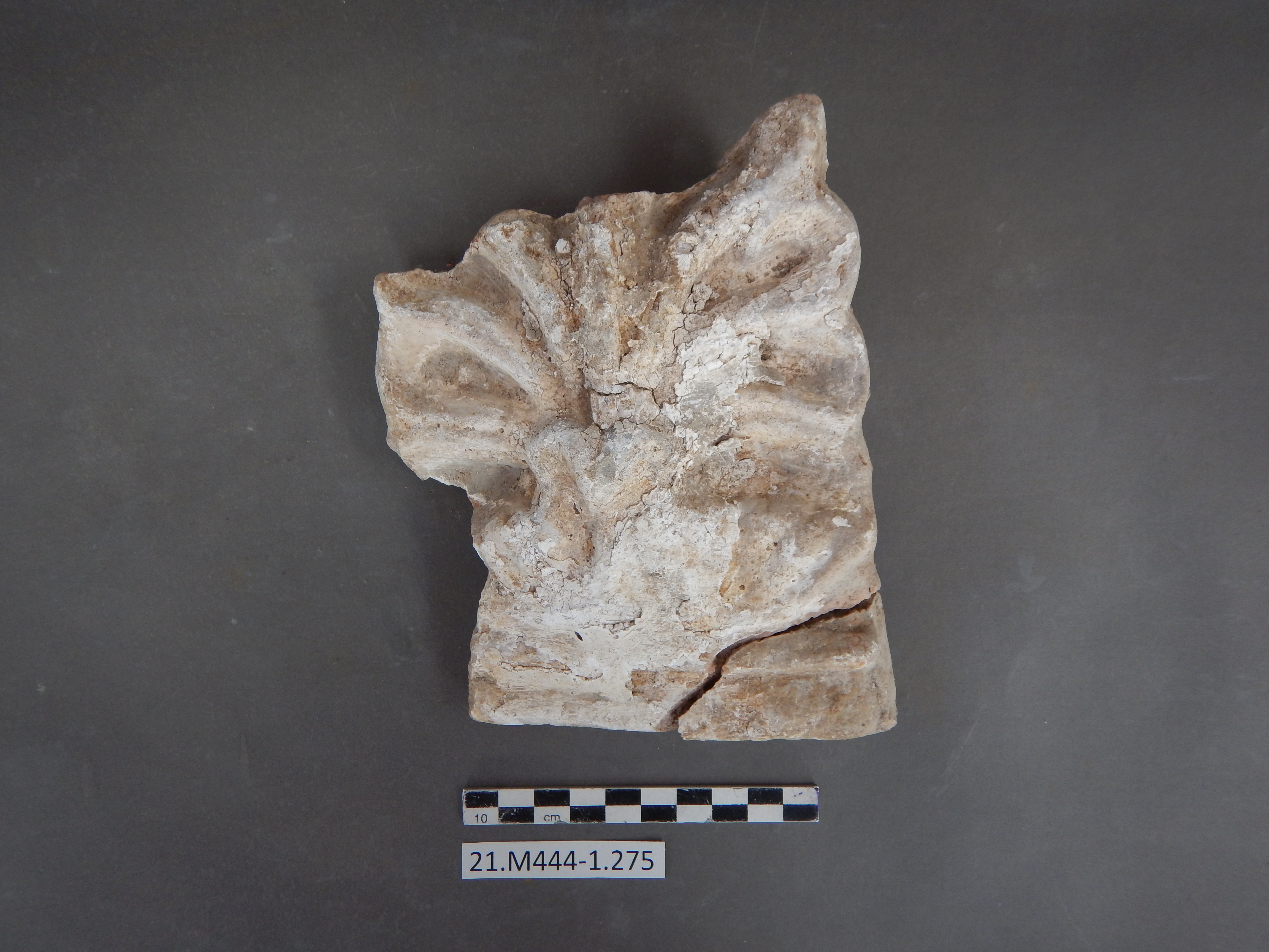 SINGOLO OGGETTO/ antefissa, SECOLI/ I