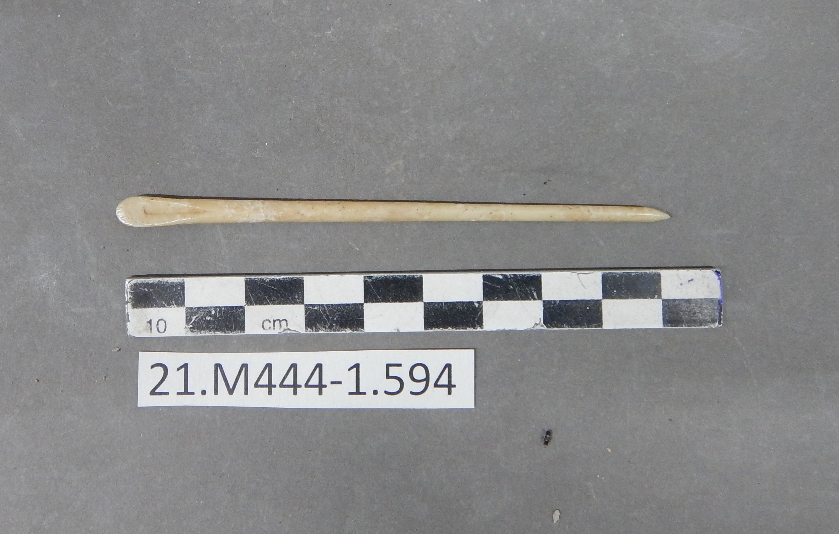 SINGOLO OGGETTO/ nettaorecchie, SECOLI/ I