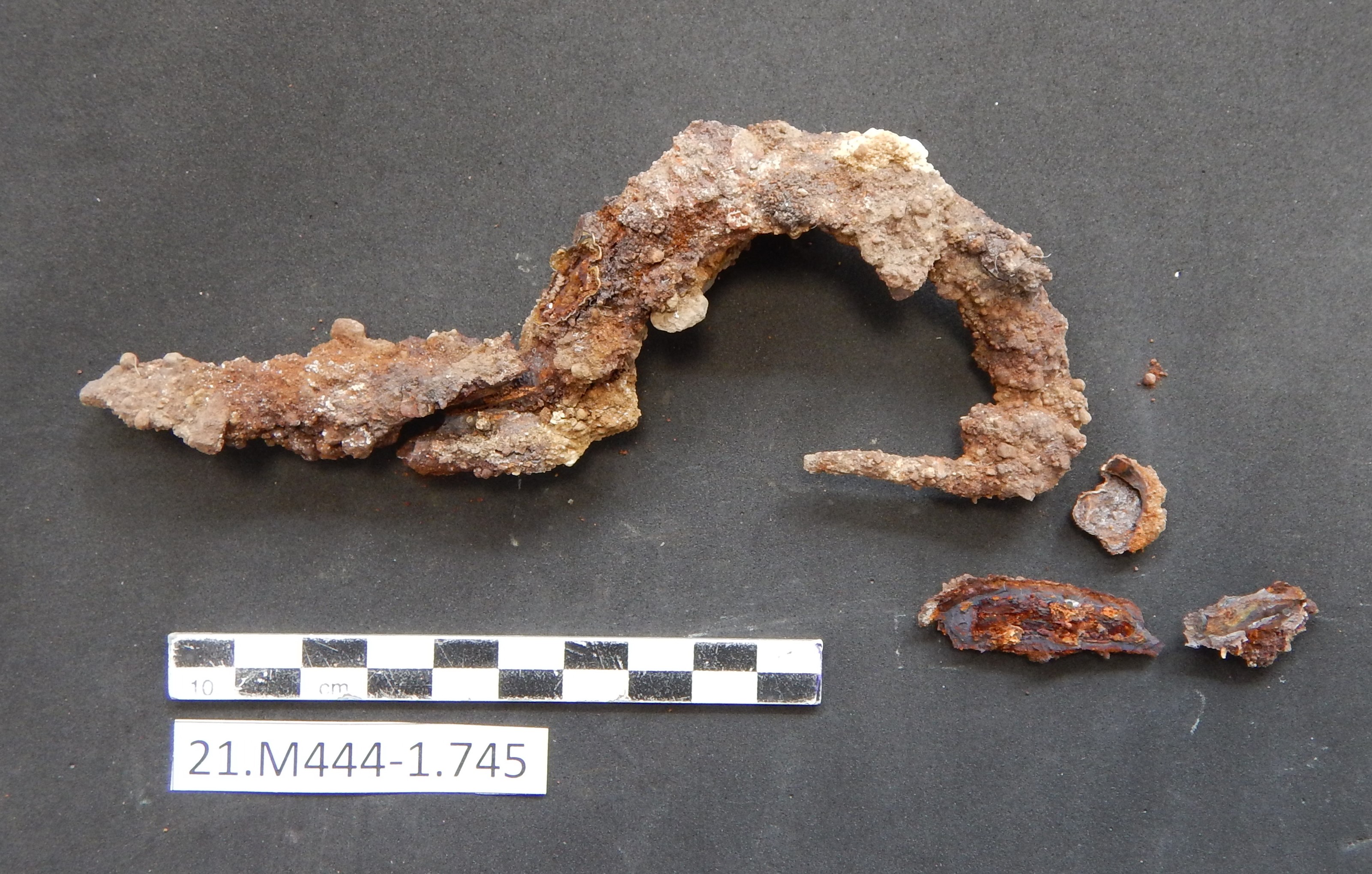 SINGOLO OGGETTO/ fibula, SECOLI/ VI a.C