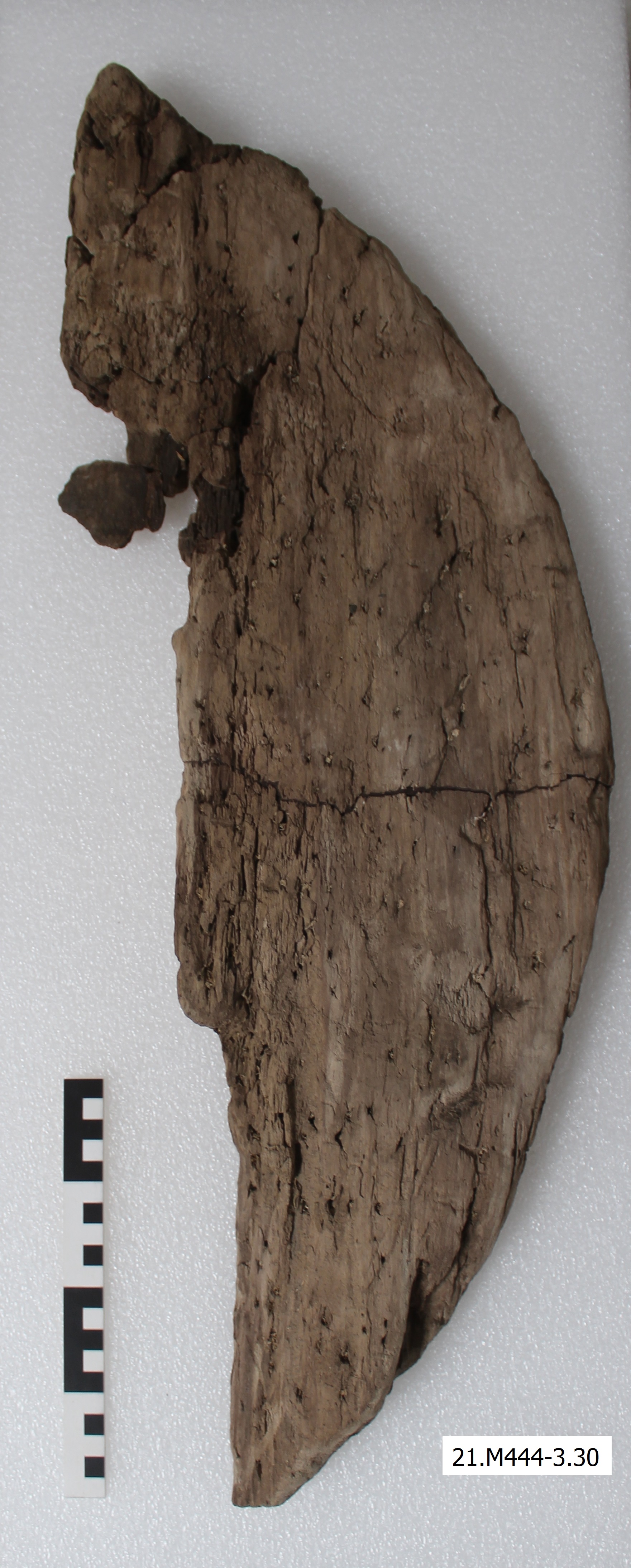 SINGOLO OGGETTO/ ruota, PERIODIZZAZIONI/ Protostoria/ Eta' del Ferro