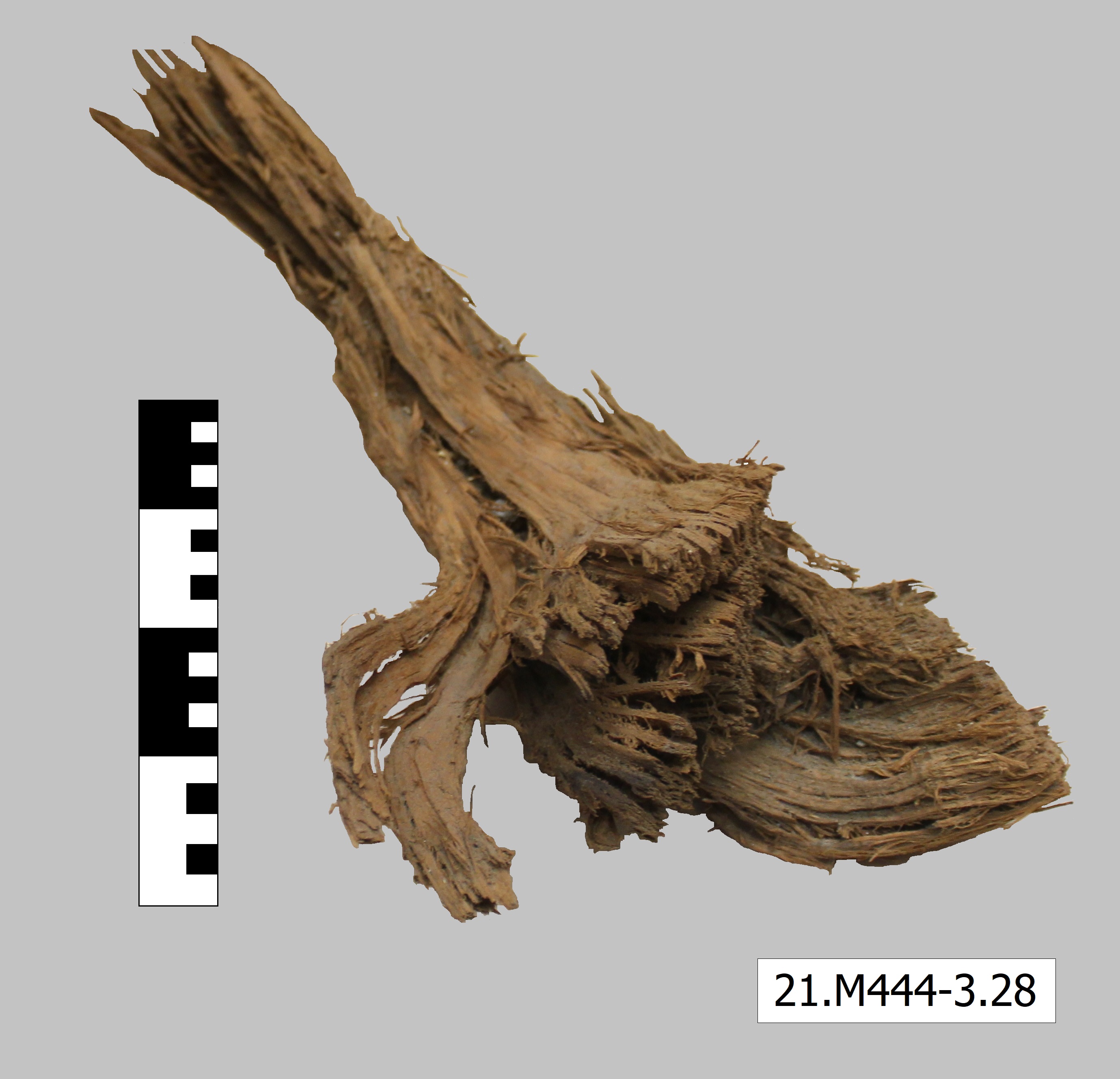 SINGOLO OGGETTO, SECOLI/ I