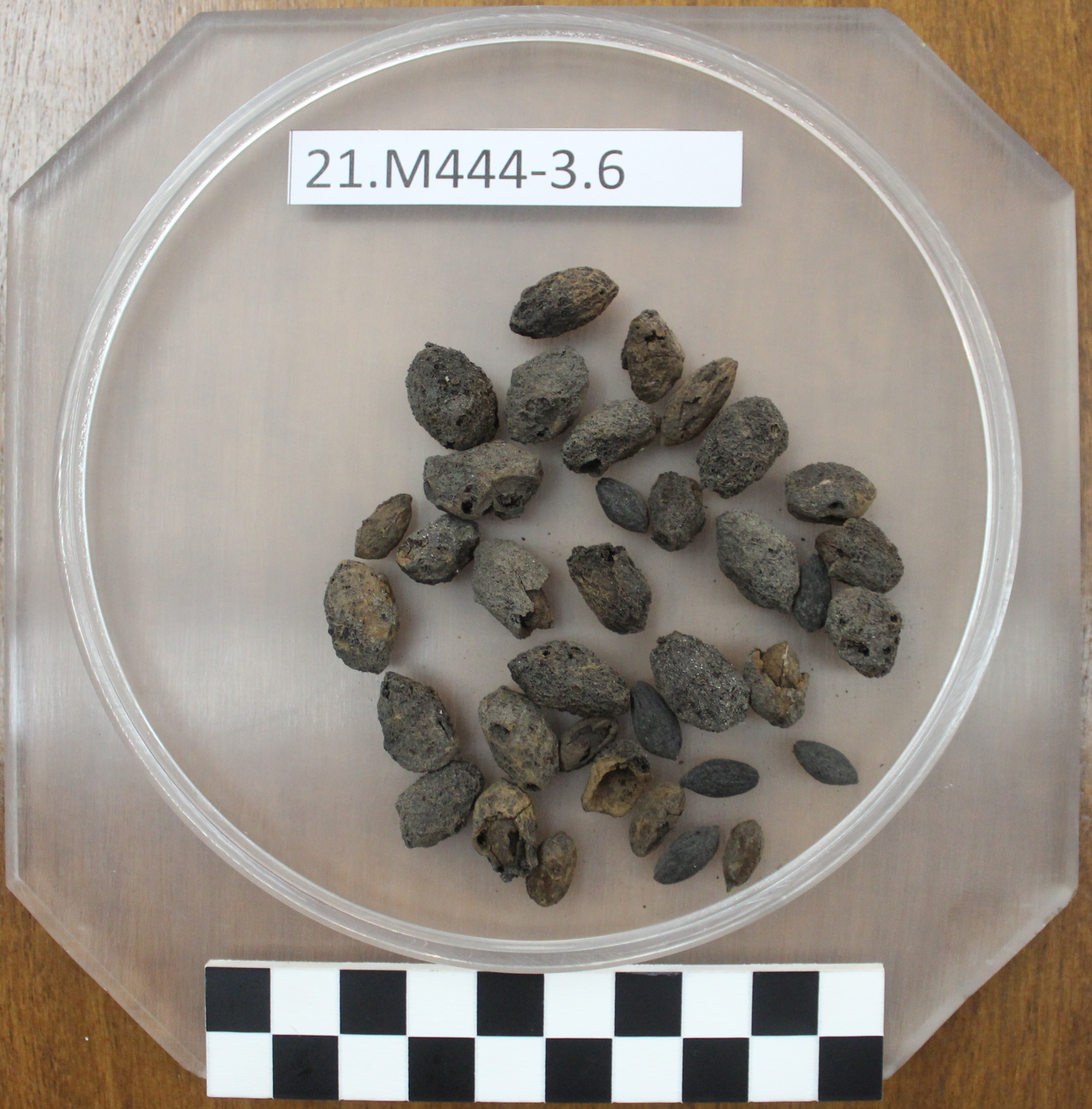 SINGOLO OGGETTO, SECOLI/ I