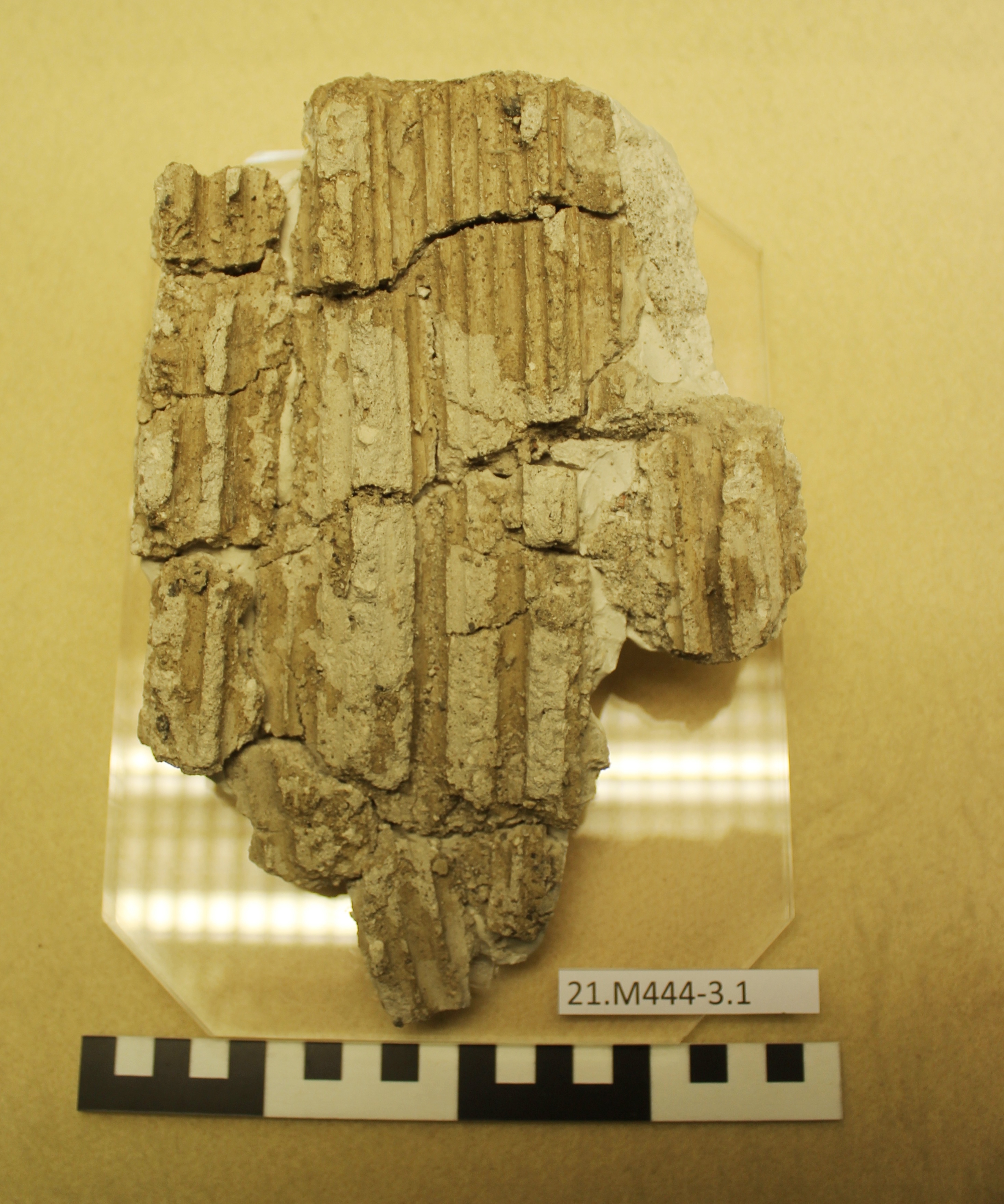 SINGOLO OGGETTO, SECOLI/ I