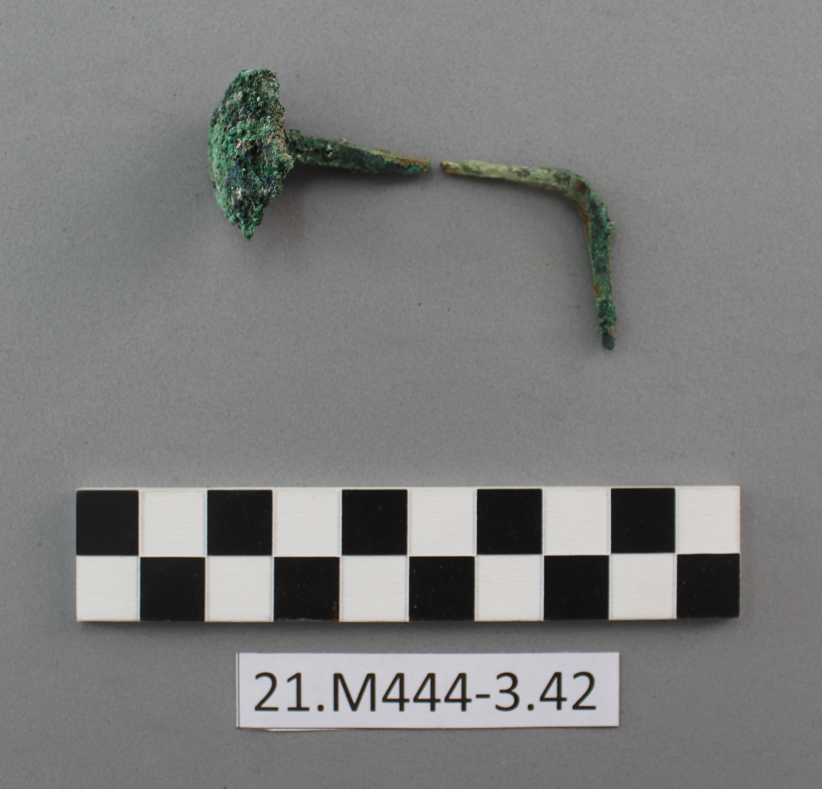 SINGOLO OGGETTO/ borchia, PERIODIZZAZIONI/ STORIA/ Età antica/ Età romana