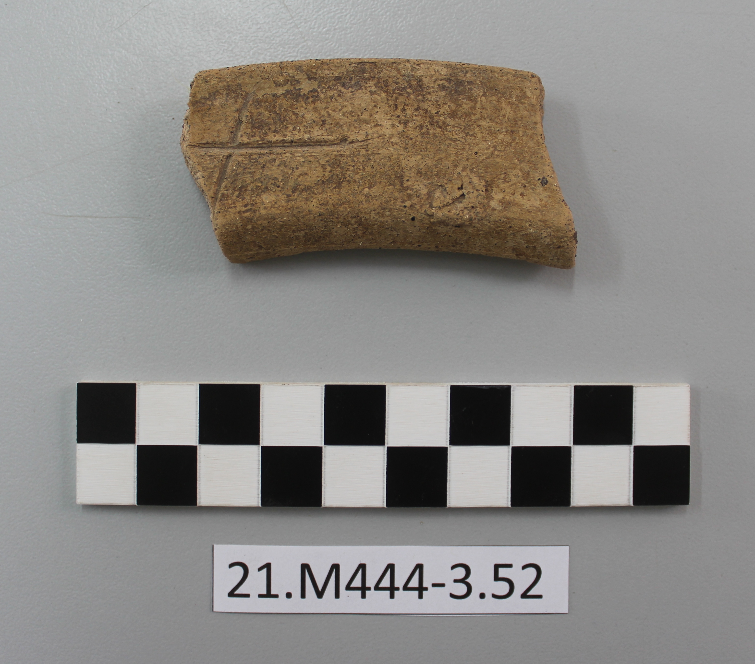 SINGOLO OGGETTO/ bacile, SECOLI/ I