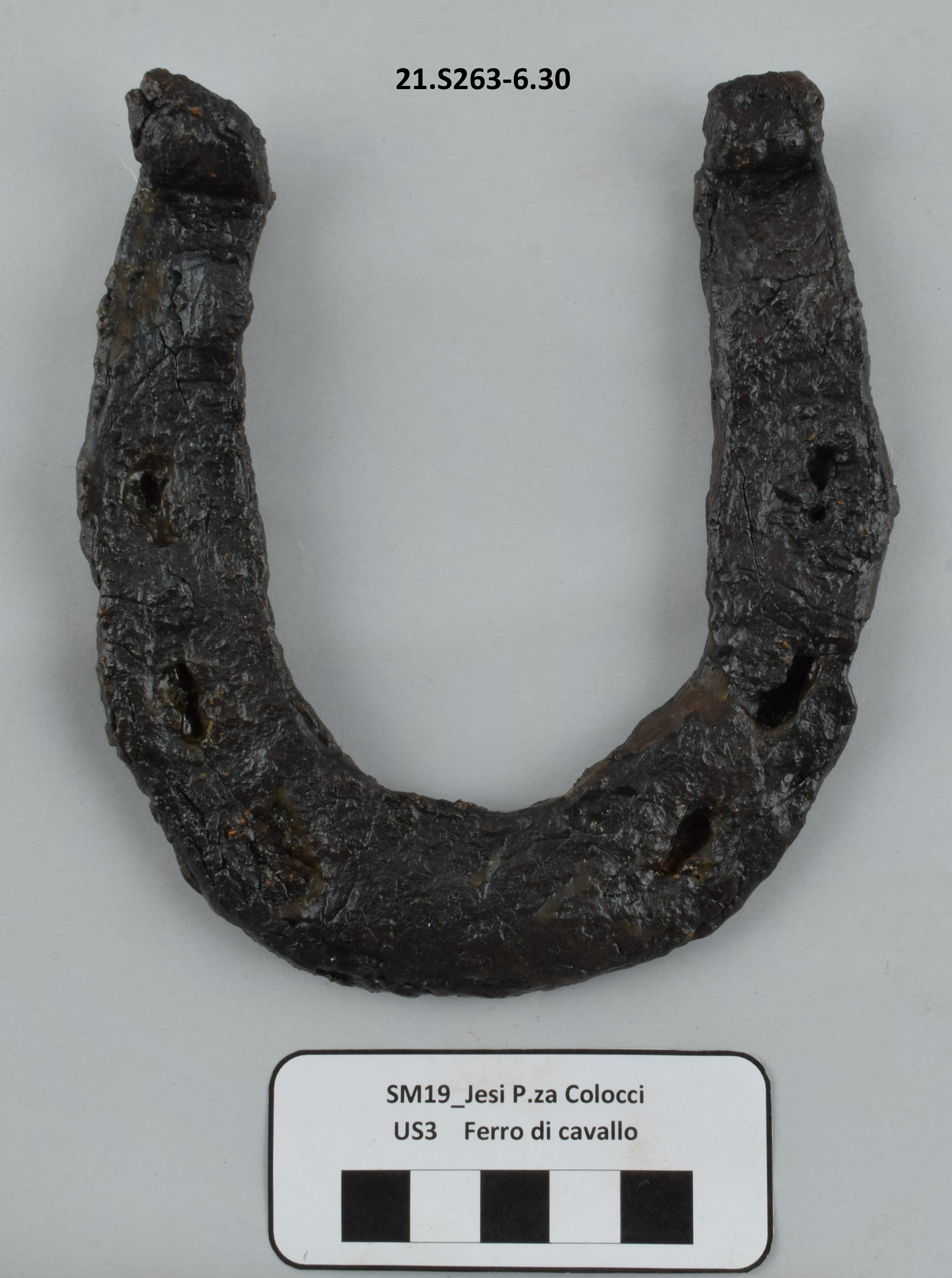 SINGOLO OGGETTO/ ferro di cavallo, PERIODIZZAZIONI/ STORIA/ Eta' medievale/ Basso Medioevo