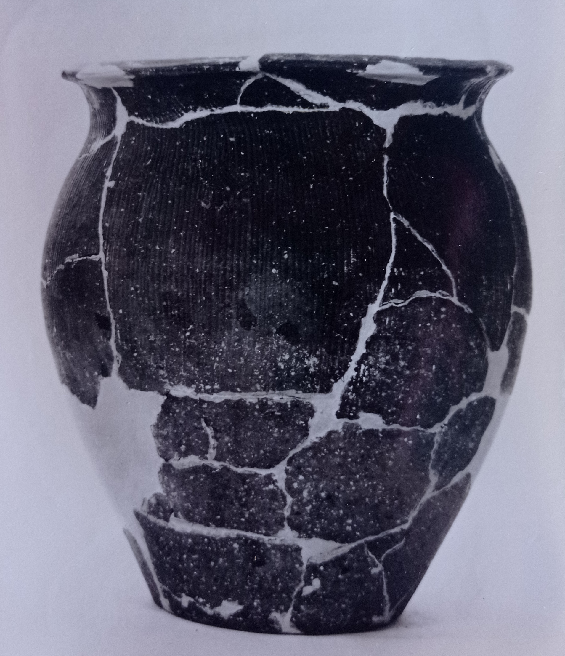 olla/ funeraria (SECOLI/ ARCHI DI SECOLI/ seconda metà del I sec. a.C.- inizio del I d.C)