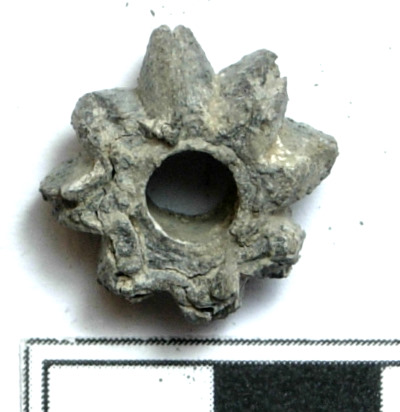 SINGOLO OGGETTO/ fuseruola, PERIODIZZAZIONI/ Storia/ Eta' medievale