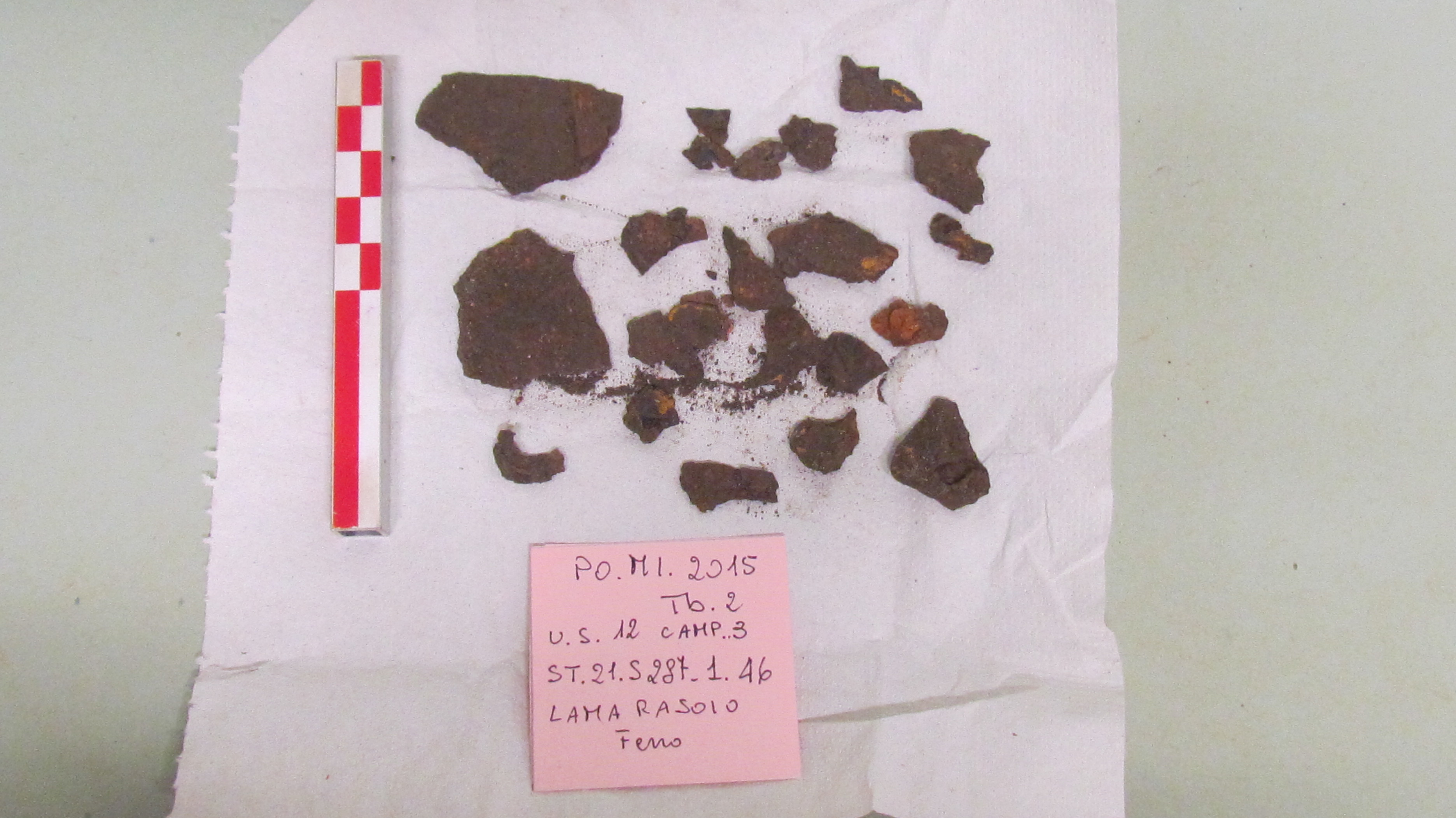 SINGOLO OGGETTO/ rasoio, SECOLI/ ARCHI DI SECOLI/ Seconda metà I a.C. - inizio II d.C