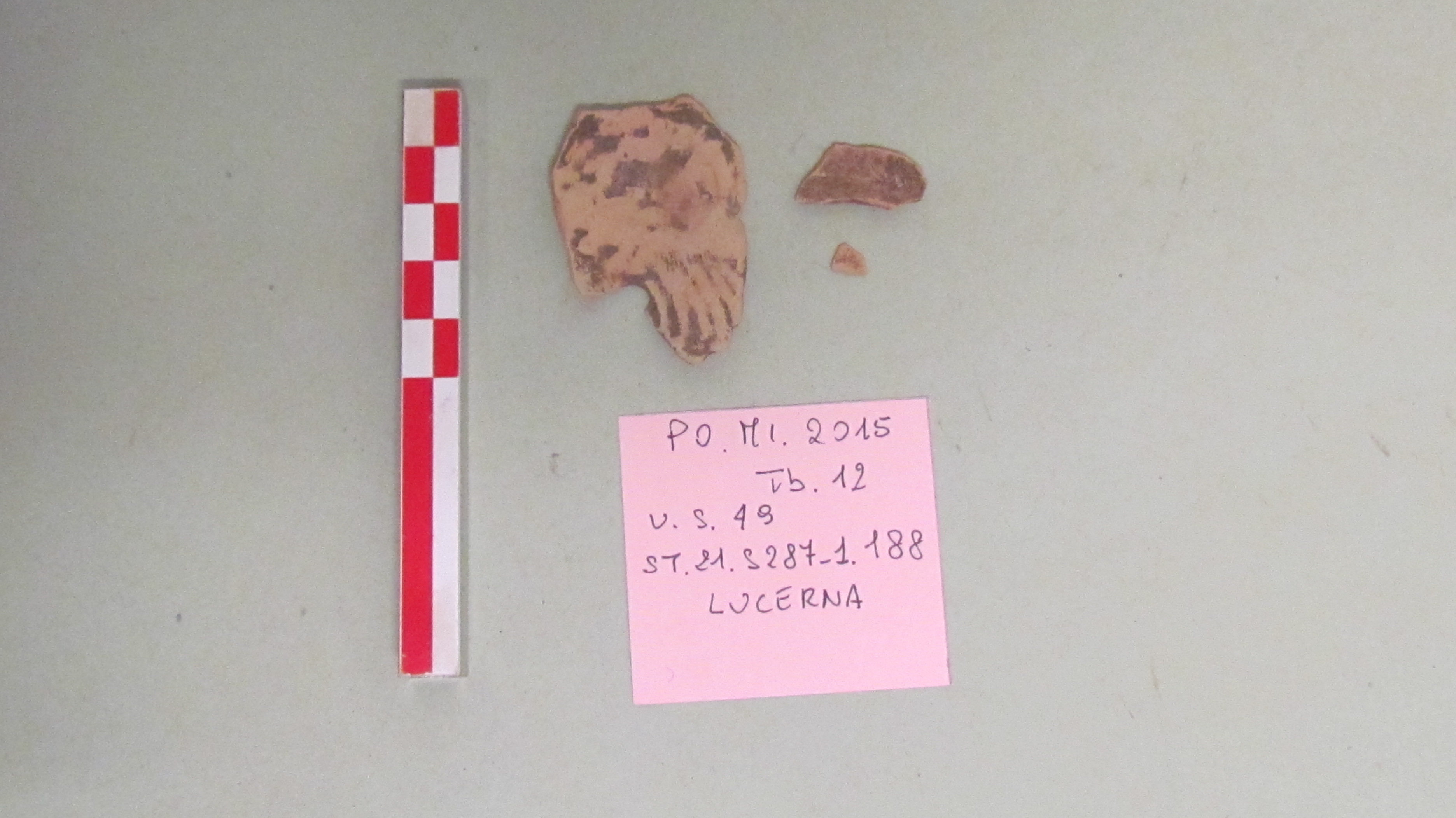 SINGOLO OGGETTO/ lucerna, SECOLI/ ARCHI DI SECOLI/ Seconda metà I a.C. - inizio II d.C