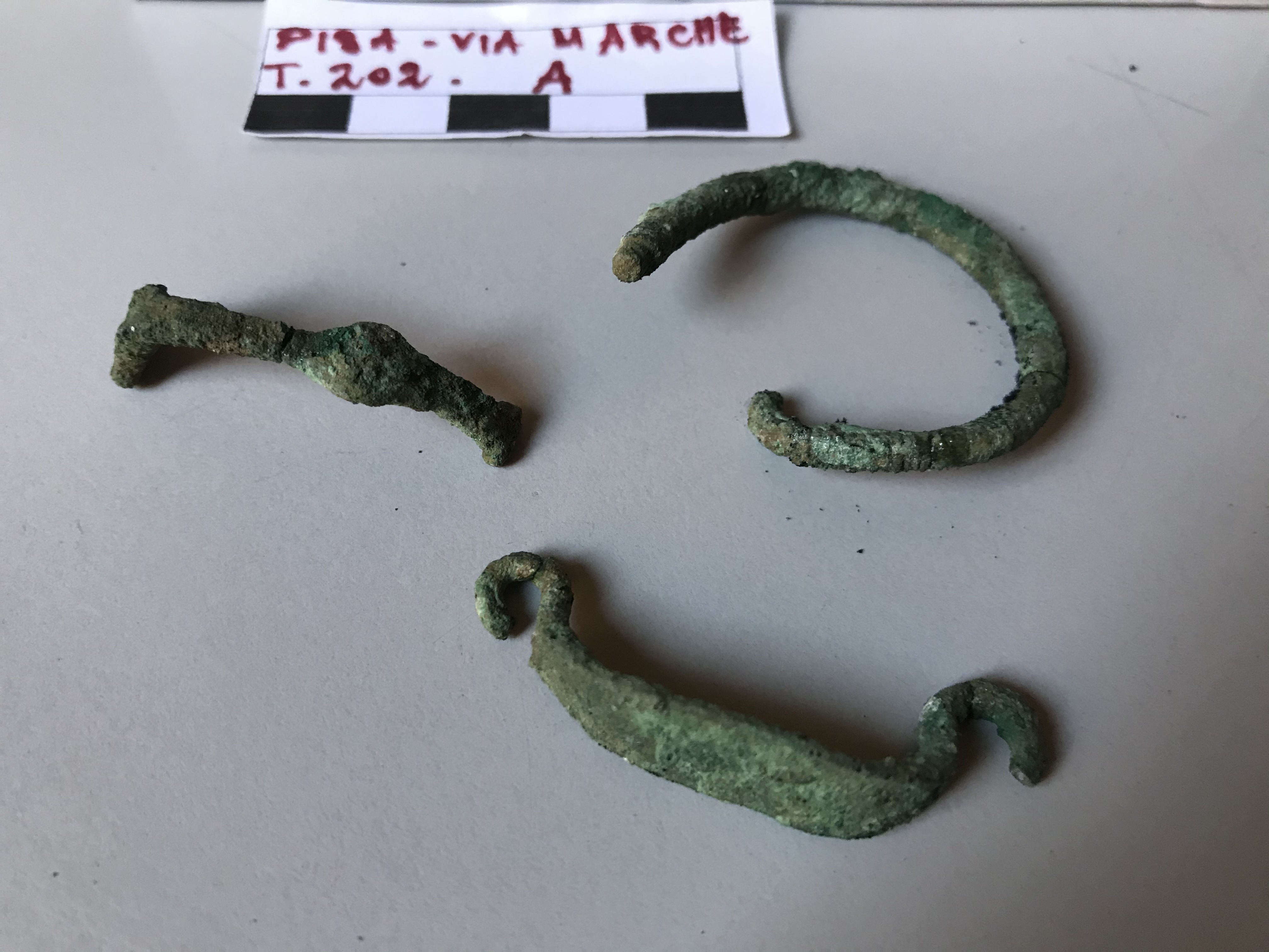 SINGOLO OGGETTO/ fibula, SECOLI/ VIII a.C