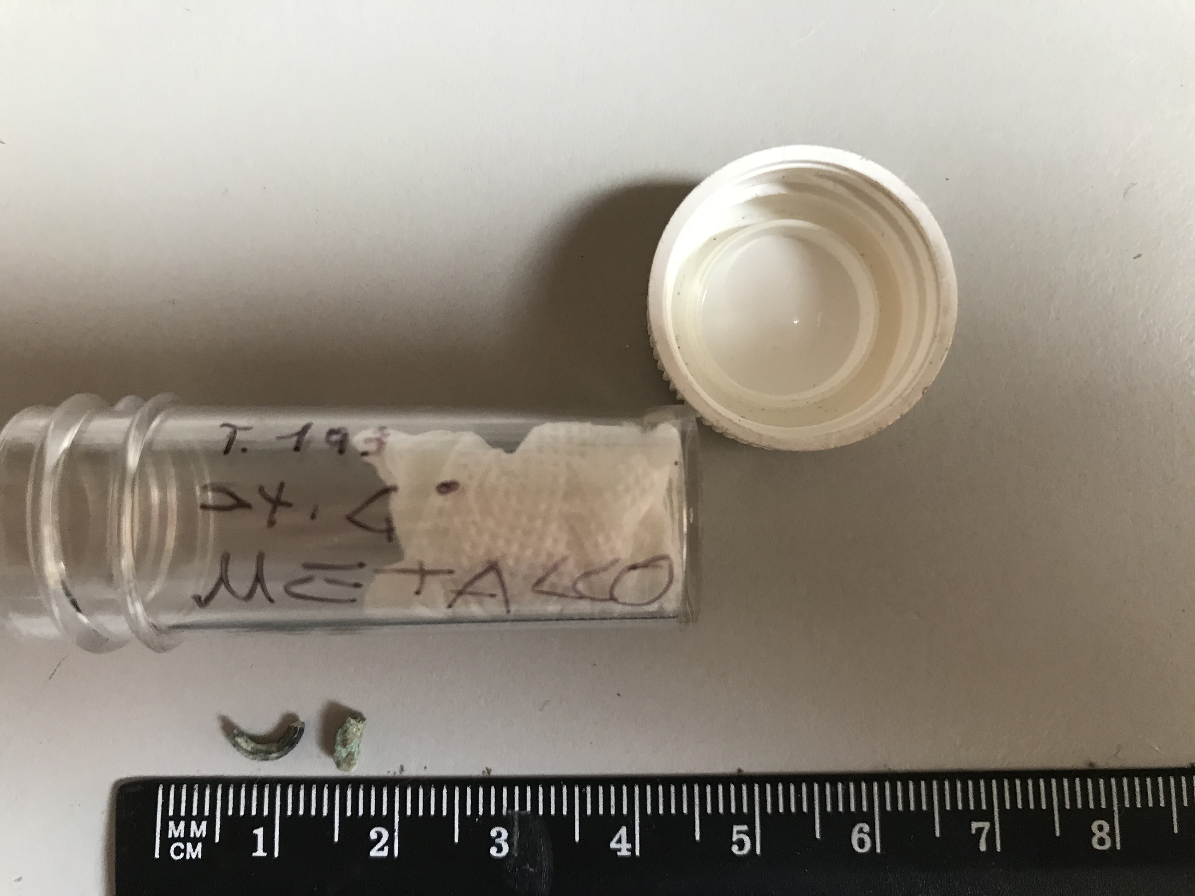 SINGOLO OGGETTO/ fibula, fine IX a.C