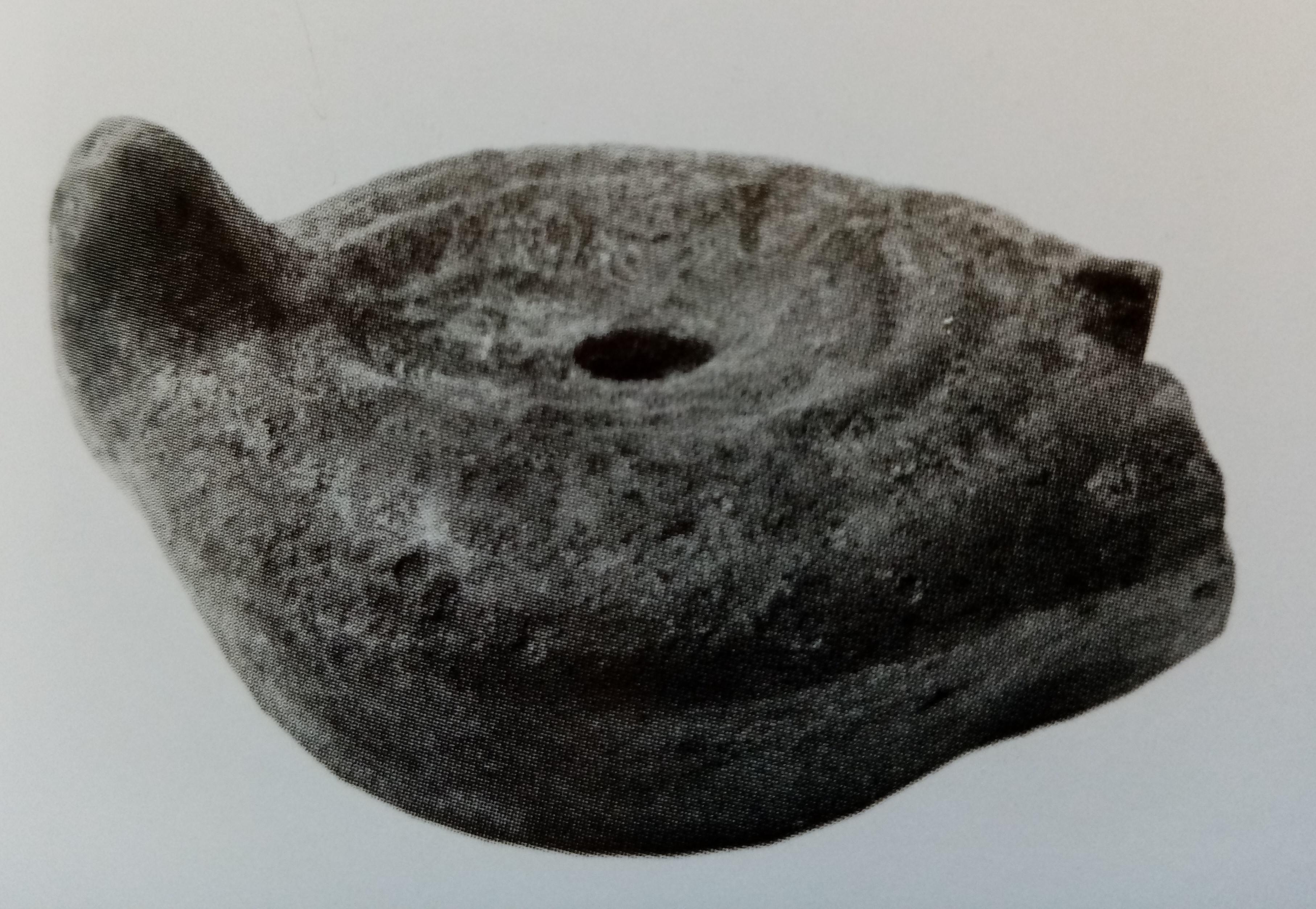 lucerna (PERIODIZZAZIONI/ STORIA/ Età antica/ Età romana/ Età romana imperiale)