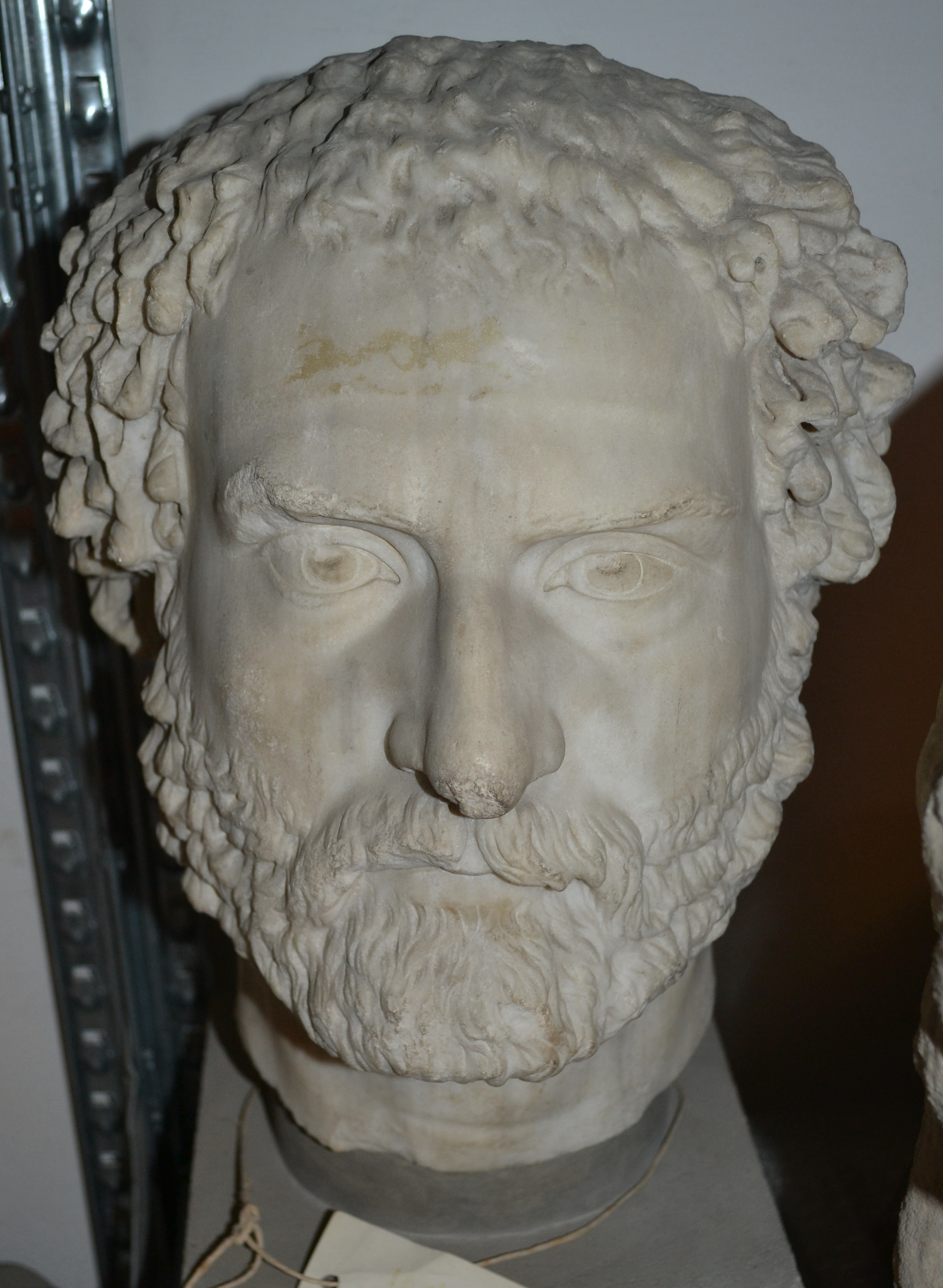 testa/ maschile, ritratto (seconda metà SECOLI/ II)