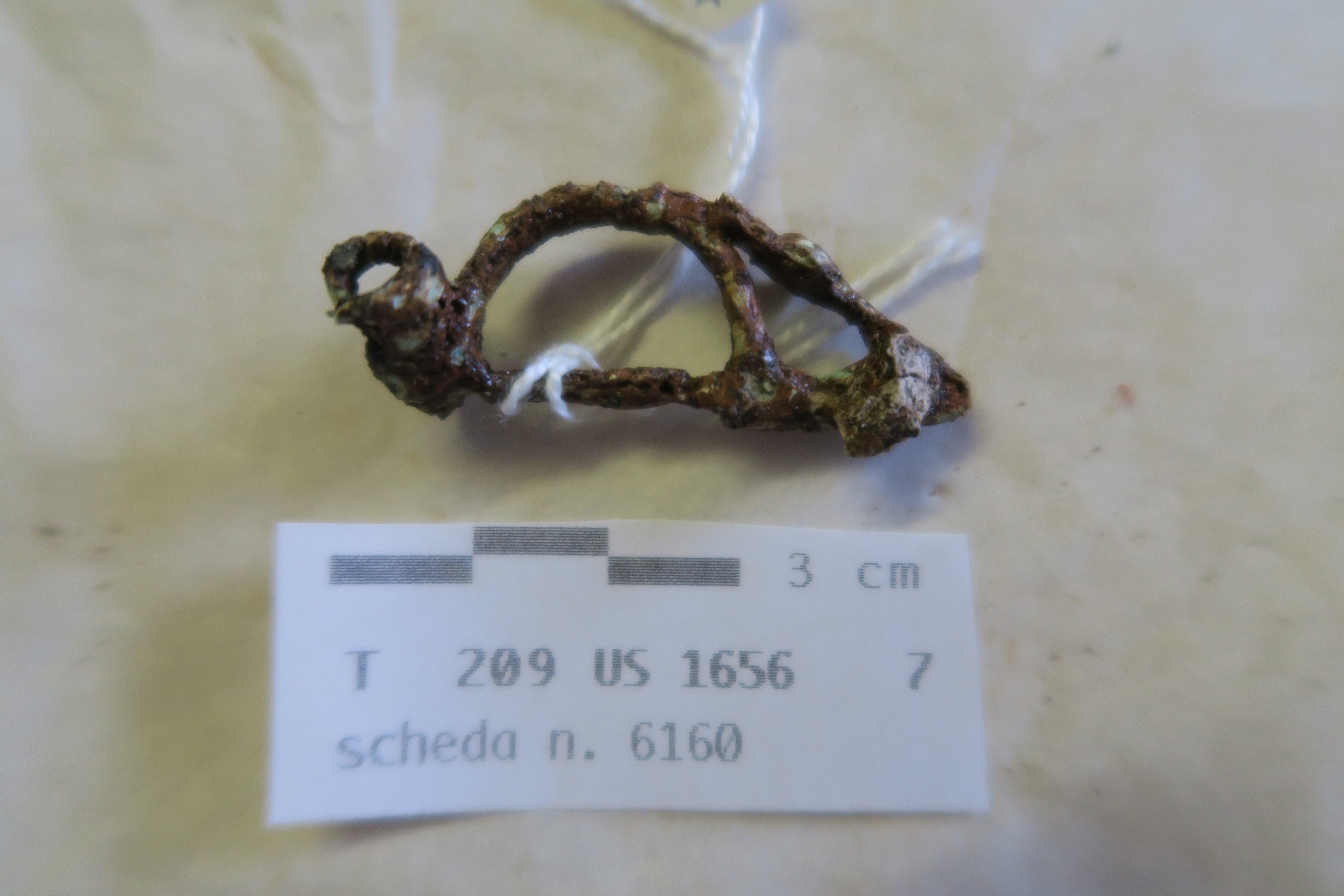 SINGOLO OGGETTO/ fibula, SECOLI/ III a.C