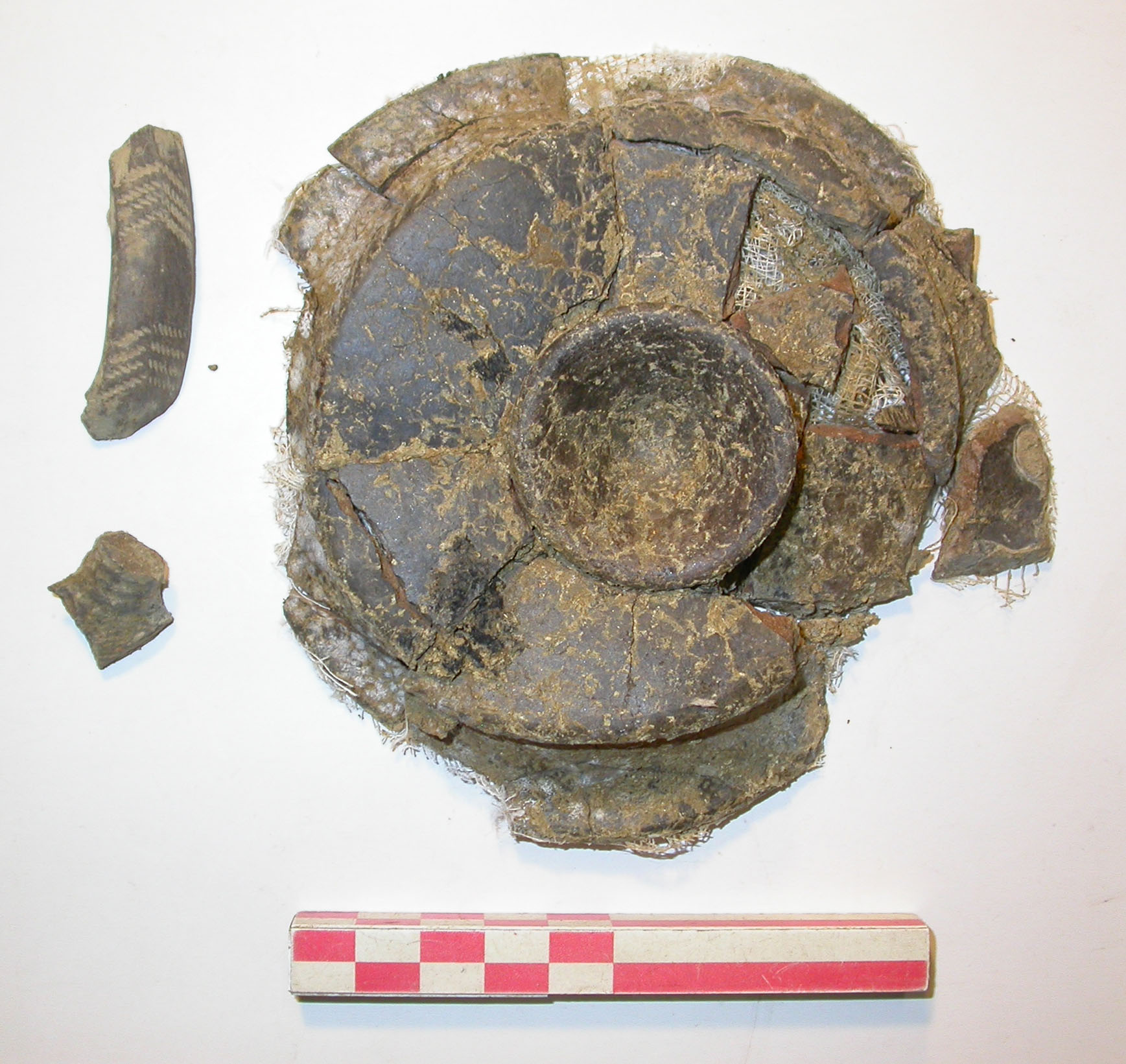 SINGOLO OGGETTO/ tazza, PERIODIZZAZIONI/ PROTOSTORIA/ Eta' del Ferro/ Prima eta' del Ferro